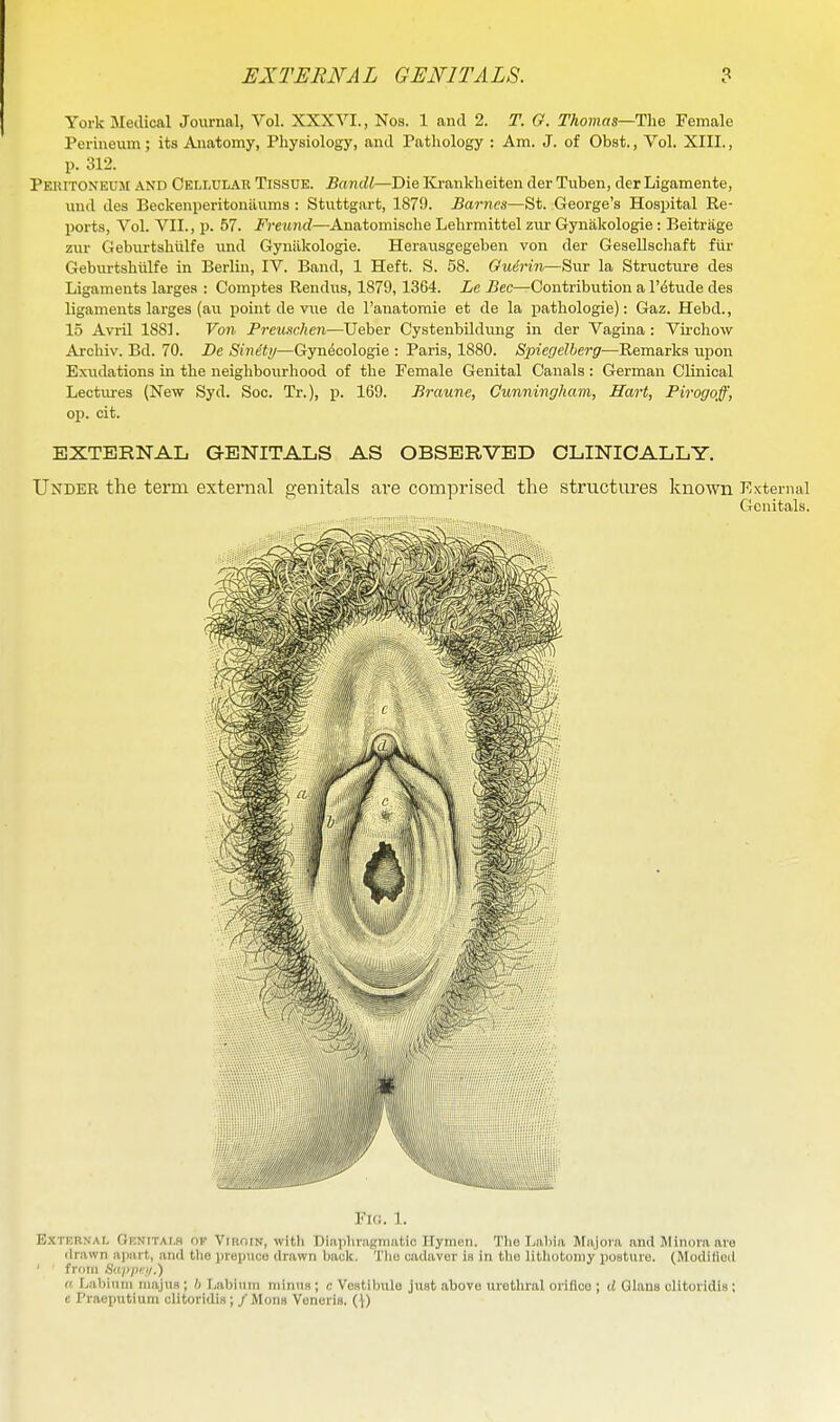 York Medical Journal, Vol. XXXVI., Nos. 1 and 2. T. G. Thomas—The Female Perineum; its Ajiatomy, Physiology, and Pathology : Am. J. of Obst., Vol. XIII., p. 312. PEUiTONEUjr AND Ceij-ular TISSUE. Bandl—Die Krankheiten der Tuben, der Ligamente, und des Beckenperitonilums : Stuttgart, 1870. Barnes—St. George's Hospital Re- ports, Vol. VII., p. 57. Freund—Anatomisohe Lehrmittel ziu- Gynakologie : Beitrage zur Geburtshiilfe und Gynilkologie. Herausgegeben von der GeaeUscliaft fiir Geburtshiilfe in Berlin, IV. Band, 1 Heft. S. 58. Guerin—Sur la Structure des Ligaments larges : Comptes Rendus, 1879,1364. Le Bee—Contribution a I'lJtude des ligaments larges (au point de vue de I'anatomie et de la pathologie): Gaz. Hebd., 15 Avril 1881. Von Prciischen—Ueber Cystenbildung in der Vagina : Vii'chow Archiv. Bd. 70. De Sinity—Gyn^cologie : Paris, 1880. Spiegelberg—Remarks upon Exudations in the neighbourhood of the Female Genital Canals : German Clinical Lectiires (New Syd. Soc. Tr.), p. 169. Braune, Cunningham, Hart, Pirogoff, op. oit. EXTERNAL GENITALS AS OBSERVED CLINICALLY. Under the term external genitals are comprised the structures known External Genitals. Fig. 1. ExTKRNAf. Or;NiTAr,s OK ViiKitN, with Diliphnigiimtic Hymen. Tlio Lnliia Majora and Minora are drawn apart, and tlio inepuce drawn back, Tlio cadaver is in the lithotomy iioature. (ModiKod ' frrini Sdpitci/.) a Labium inajua ; ') I,abiinn niiniia ; i; Voatibulo just above urethral orifice ; d Qlans clitoridis ; e I'raepntium clitoridis; /Mona Veneris. (\)