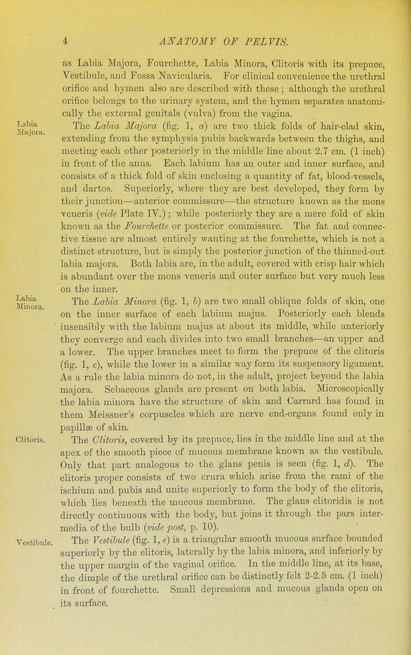 as Labia Majora, Fourchette, Labia Minora, Clitoris with its prepuce, Vestibule, and Fossa Navicularis. For clinical convenience the urethral orifice and hymen also are described with these; although the urethral orifice belongs to the urinary system, and the hymen separates anatomi- cally the external genitals (vulva) from the vagina. The Labia Majora (fig. 1, a) are two thick folds of hair-clad skin, extending from the symphysis pubis backwards between the thighs, and meeting each other posteriorly in the middle line about 2.7 cm. (1 inch) in front of the anus. Each labium has an outer and inner surface, and consists of a thick fold of skin enclosing a quantity of fat, blood-vessels, and dartos. Superiorly, where they are best developed, they form by their junction—anterior commissure—the structure known as the mons veneris (vide Plate IV.); while posteriorly they are a mere fold of skin known as the Fourchette or posterior commissure. The fat and connec- tive tissue are almost entirely wanting at the fourchette, which is not a distinct structure, but is simply the posterior junction of the thinned-out labia majora. Both labia are, in the adult, covered with crisp hair which is abundant over the mons veneris and outer surface but very much less on the inner. The Labia Minora (fig. 1, h) are two small oblique folds of skin, one on the inner surface of each labium majus. Posteriorly each blends insensibly with the labium majus at about its middle, while anteriorly they converge and each divides into two small branches—an upper and a lower. The upper branches meet to form the prepuce of the clitoris (fig. 1, c), while the lower in a similar way form its suspensory ligament. As a rule the labia minora do not, in the adult, project beyond the labia majora. Sebaceous glands are present on both labia. Microscopically the labia minora have the structure of skin and Garrard has found in them Meissner's corpuscles which are nerve end-organs found only in papillee of skin. The Clitoris, covered by its prepuce, lies in the middle line and at the apex of the smooth piece of mucous membrane known as the vestibule. Only that part analogous to the glans penis is seen (fig. 1, c^). The clitoris proper consists of two crura which arise from the rami of the ischium and pubis and unite superiorly to form the body of the clitoris, which lies beneath the mucous membrane. The glans clitoridis is not directly continuous with the body, but joins it through the pars inter- media of the bulb {vide post, p. 10). The Vestibule (fig. 1, e) is a triangular smooth mucous surface bounded superiorly by the clitoris, laterally by the labia minora, and inferiorly by the upper margin of the vaginal orifice. In the middle line, at its base, the dimple of the urethral orifice can be distinctly felt 2-2.5 cm. (1 inch) in front of fourchette. Small depressions and mucous glands open on its surface.