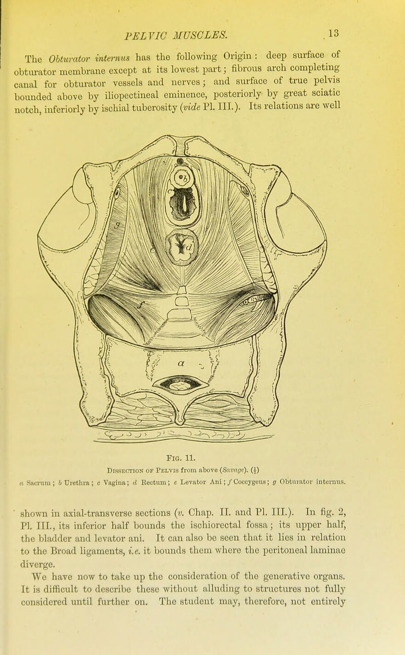 PELVIC MUSCLES. The Obturator intmms has the following Origin : deep surface of obturator membrane except at its lowest part; fibrous arch completing canal for obturator vessels and nerves; and surface of true pelvis bounded above by iliopectineal eminence, posteriorly by great sciatic notch, inferiorly by ischial tuberosity (vide PI. III.). Its relations are well Fig. 11. Dissection of Pelvis from above (Savage). Q) a Sacnim ; 6 Urethra ; c Vagina; d Rectum; e Levator Ani; / Coccygous; g Obturator internus. shown in axial-transverse sections (v. Chap. II. and PI. III.). In fig. 2, PI. III., its inferior half bounds the ischiorectal fossa; its upper half, the bladder and levator ani. It can also be seen that it lies in relation to the Broad ligaments, i.e. it bounds them where the peritoneal laminae diverge. We have now to take up the consideration of the generative organs. It is difficult to describe these without alluding to structures not fully considered until further on. The student may, therefore, not entirely
