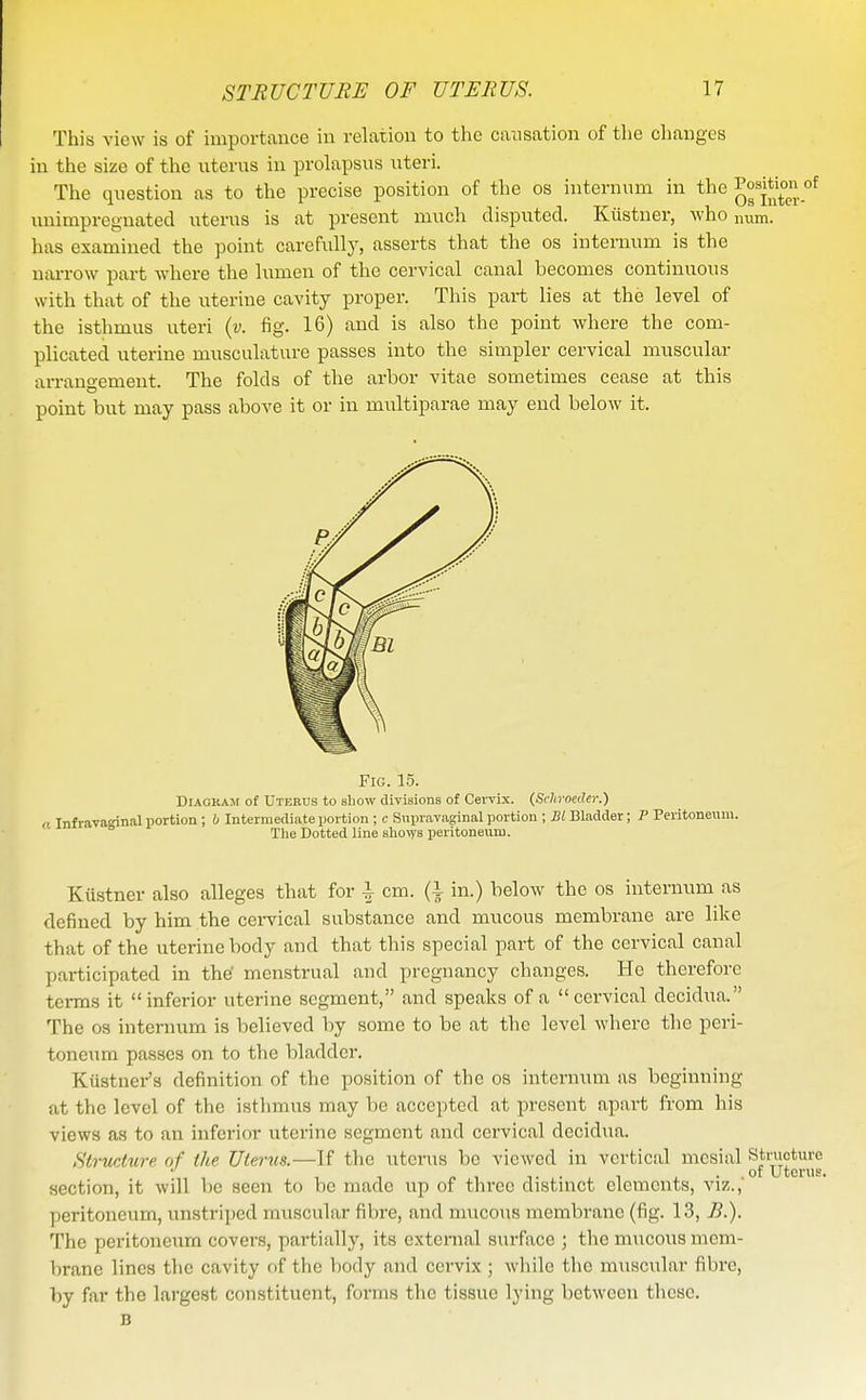 This view is of importance in relation to the causation of the changes in the size of the uterus in prolapsus uteri. The question as to the precise position of the os internum in the Posit unimpregnated uterus is at present much disputed. Kiistner, who num. has examined the point carefully, asserts that the os internum is the nai-row part where the lumen of the cervical canal becomes continuous with that of the uterine cavity proper. This part lies at the level of the isthmus uteri {v. fig. 16) and is also the point where the com- plicated uterine musculature passes into the simpler cervical muscular arrangement. The folds of the arbor vitae sometimes cease at this point but may pass above it or in multiparae may end below it. Fig. 15. DiAOKAM of Utebus to sliow divisions of Cervix. (Schrneder.) a Infrava°inal ijortion; b Intermediate portion ; c Supravaginal portion ; Bl Bladder; P Peritoneum. ° Tlie Dotted line sho\y8 peritoneum. Kiistner also alleges that for i cm. (i in.) below the os internum as defined by him the cei-vical substance and mucous membrane are like that of the uterine body and that this special part of the cervical canal participated in the' menstrual and pregnancy changes. He therefore terms it inferior uterine segment, and speaks of a cervical decidua. The OS internum is believed by some to be at the level where the peri- toneum passes on to the bladder. Kiistuer's definition of the position of the os internum as beginning at the level of the isthmus may be accepted at present apai-t from his views as to an inferior uterine segment and cervical decidua. StrurAure of the Uterus.—If the uterus be viewed in vertical mesial Structure 1 1 ^1 T • , 1 x • ■ Uterus, section, it will be seen to be made up of three distinct elements, viz., peritoneum, unstriped muscular fibre, and mvicous membrane (fig. 13, B.). The peritoneum covers, partially, its external surface ; the mucous mem- brane lines the cavity of the body and cervix ; wliile the muscular fibre, by far the largest constituent, forms the tissue lying between these. B