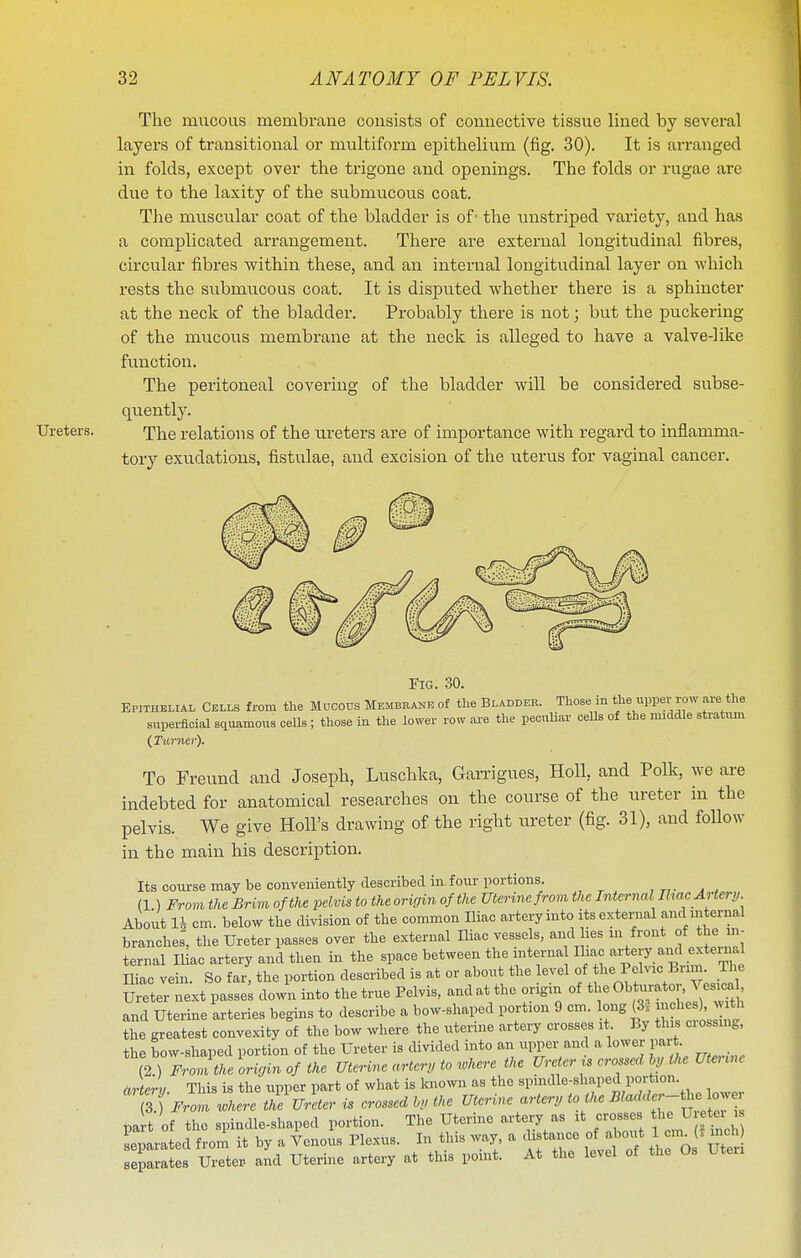 The mucous membrane cousists of comiective tissue lined by several layers of transitional or multiform epithelium (fig. 30). It is arranged in folds, except over the trigone and openings. The folds or rugae are due to the laxity of the submucous coat. The muscular coat of the bladder is of' the unstriped variety, and has a complicated arrangement. There are external longitudinal fibres, circular fibres within these, and an internal longitudinal layer on which rests the submucous coat. It is disputed whether there is a sphincter at the neck of the bladder. Probably there is not; but the puckering of the mucous membrane at the neck is alleged to have a valve-like function. The peritoneal covering of the bladder will be considered subse- quently. Ureters. pi^e relations of the ureters are of importance with regard to inflamma- tor}-- exudations, fistulae, and excision of the uterus for vaginal cancer. Fig. 30. Epithemal cells from the Mucous Membrane of the Bladder. Those in the upper row are the superficial sauamous cells ; those ia the lower row are the peculiar cells of the middle stratxmi To Freund and Joseph, Luschka, Garrigues, Holl, and Polk, we are indebted for anatomical researches on the course of the ureter in the pelvis. We give HoU's drawing of the right ureter (fig. 31), and follow in the main his description. Its course may be conveniently described in four portions. (1 ) From the Brim of the pelvis to the origin of the Uterine from the Internal RwcArter,, About U cm. below the division of the common Iliac artery into its external and internal branches; the Ureter passes over the external Iliac vessels, and les m front of the m- ternal Iliac artery and then in the space between the interna Ihac '-ijery am external Iliac vein. So far, the portion described is at or about the level f ^° ; Ureter next passe; down into the true Pelvis, and at the ongin of O^,^-'*-'^^^'^^ ' and Uterine arteries begins to describe a bow-shaped portion 9 cm. long (3;. ^J^l^^ ) ^th the greatest convexity of the bow where the uterine artery crosses it. By this ciossmg, the bow-shaped portion of the Ureter is divided into an upper and a lower part. (2 ) L li,in of the Uterine arter, to where the Ureter is crossed Irj the Utc.ne artery. This is the upper part of what is known as the ^l^^^^!'^;^^^,^!^^^ I'/?;!-, (3.) From where the Ureter is crossed hv the Uterine artery to the ^''^f ^i^^^^J^^^^ nart of the spindle-shaped portion. The Uterine artery as it crosses the Uretei i. L; ratedtii it by a YenoL Plexus. In this way a .Ustance of aboivt separates Ureter and Uterine artery at this point. At the level of the Os Uteri