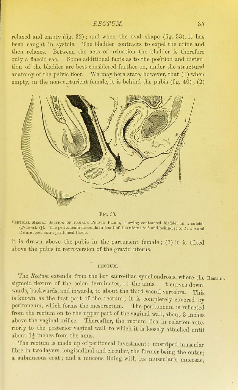relaxed and empty (fig. 32); and when the oval shape (fig. 33), it has been cauglit in systole. The bladder contracts to expel the urine and then relaxes. Between the acts of urination the bladder is therefore only a flaccid sac. Some additional facts as to the position and disten- tion of the bladder are best considered fui-ther on, under the structurpi anatomy of the pelvic floor. We may here state, however, that (1) when empty, in the non-parturient female, it is behind the pubis (fig. 40); (2) Fig. 3.3. Vertical JFesial Section of Female Pelvic Floor, showing contracted bladder in a suicide (BroiHic). (5). The perltoueuni descends in front of the uteras to h and behind it to tZ,- ho, and d c are loose extra-peritoneal tissue. it is drawn above the pubis in the parturient female; (3) it is tilted above the pubis in retroversion of the gravid uterus. nECTUM. The Rectum extends from the left sacro-iliac synchondrosis, where the Eectum, sigmoid flexure of the colon terminates, to the anus. It curves down- wards, backwards, and inwards, to about the third sacral vertebra. This is known as the first part of the rectum; it is completely covered by peritoneum, which forms the mesorectum. The peritoneum is reflected from the rectum on to the upper part of the vaginal wall, about 3 inches above the vaginal orifice. Thereafter, the rectum lies in relation ante- riorly to the posterior vaginal wall to which it is loosely attached until about 1^ inches from the anus. The rectum is made up of peritoneal investment; unstriped muscular fibre in two layers, longitudinal and circular, the former being the outer; a submucous coat; and a mucous lining with its muscularis mucosae.