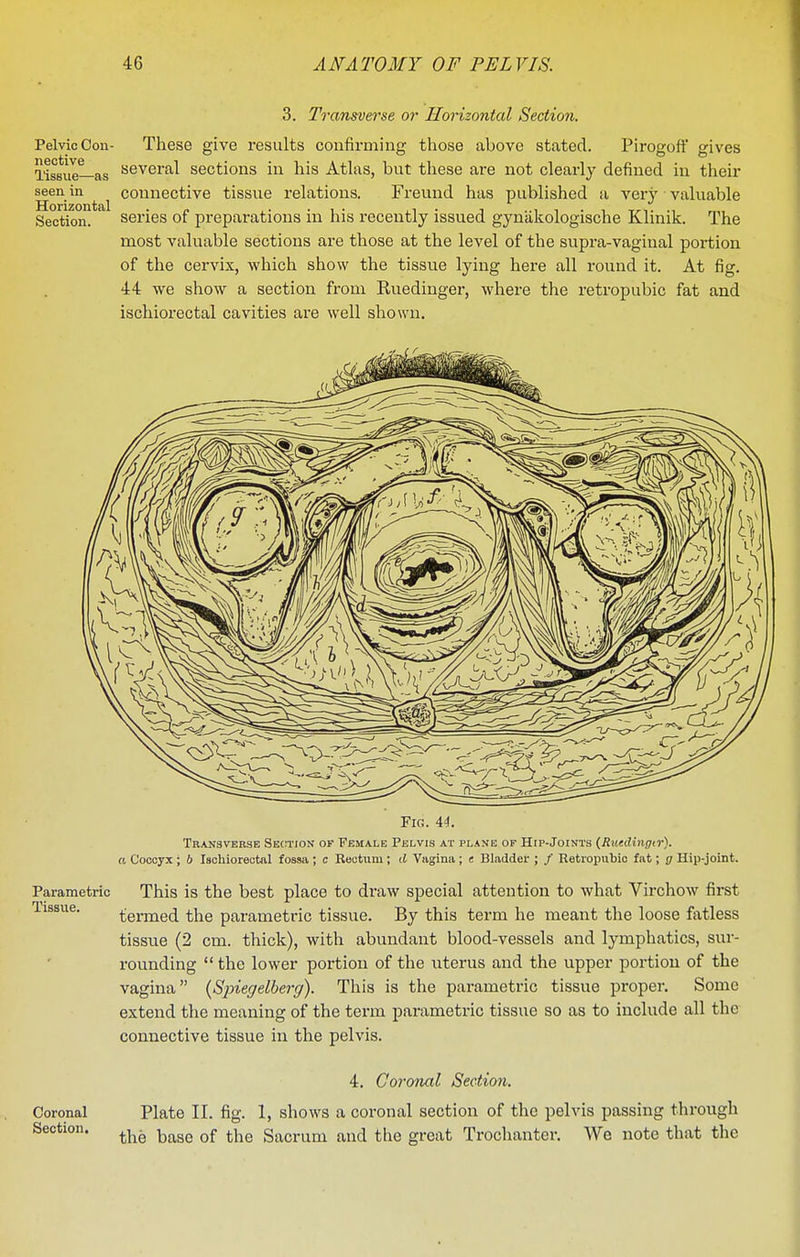 Pelvic Con- nective Tissue—as seen in Horizontal Section. 3. Transverse or Horizontal Section. These give results confirming those above stated. Pirogoft' gives several sections in his Atlas, but these are not clearly defined in their connective tissiie relations. Freund has published a very valuable series of preparations in his recently issued gyniikologische Klinik. The most valuable sections are those at the level of the supra-vaginal portion of the cervix, which show the tissue lying here all round it. At fig. 44 we show a section from Ruedinger, where the retropubic fat and ischioi-ectal cavities are well shown. Parametric Tissue. Fig. 44. Transverse Section of Female Pelvis at plane of Hip-Joints (Ruedingir). a Coooyx ; 6 Ischiorectal fossa ; c Rectum ; d Vagina ; e Bladder ; / Retroimbic fat; g Hip-joint. This is the best place to draw special attention to what Virchow first termed the parametric tissue. By this term he meant the loose fatless tissue (2 cm. thick), with abundant blood-vessels and lymphatics, sur- rounding the lower portion of the uterus and the upper portion of the vagina {Sjnegelberg). This is the parametric tissue proper. Some extend the meaning of the term parametric tissue so as to include all the connective tissue in the pelvis. Coronal Section. 4. Coronal Section. Plate II. fig. 1, shows a coronal section of the pelvis passing through the base of the Sacrum and the great Trochanter. We note that the