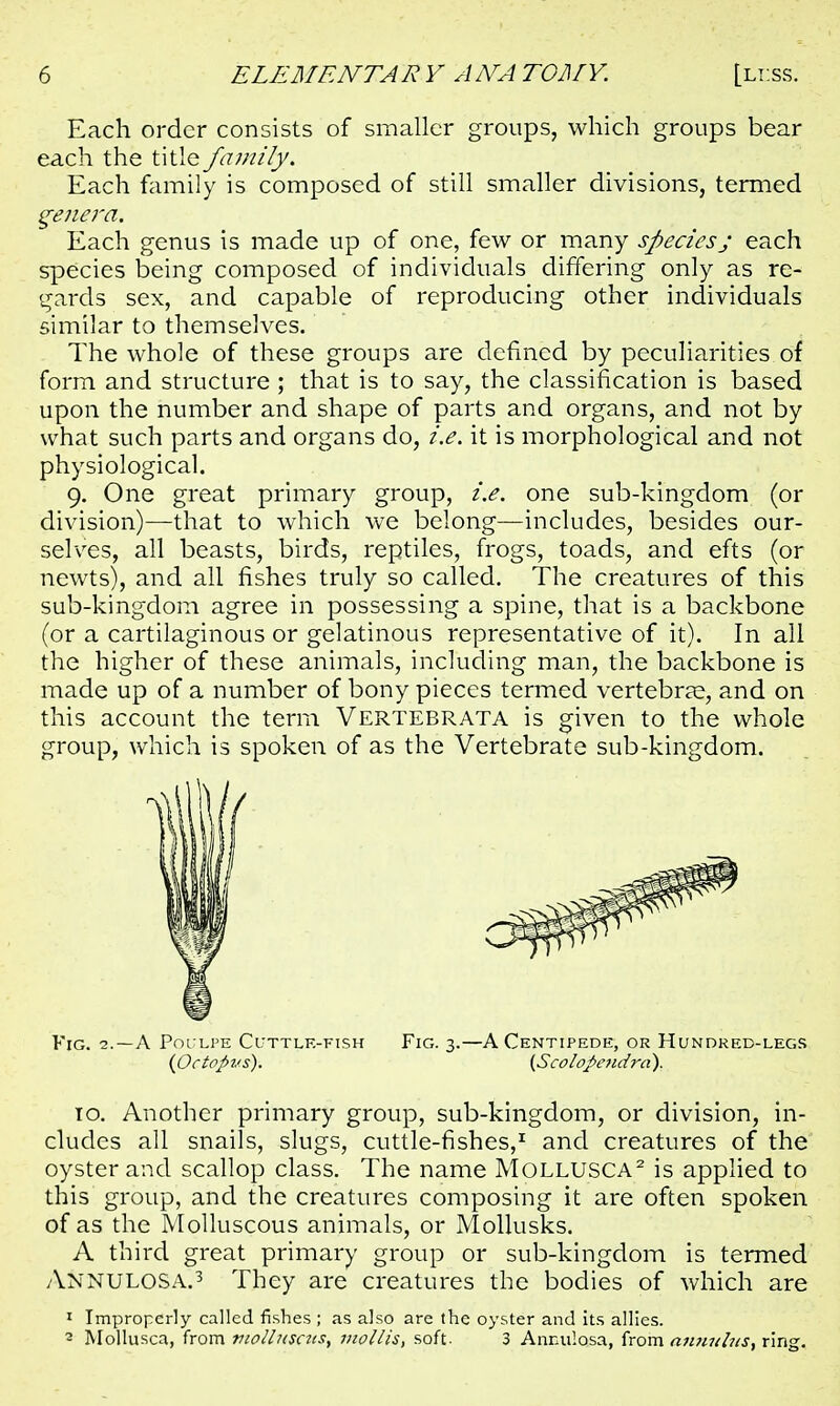 Each order consists of smaller groups, which groups bear each the title family. Each family is composed of still smaller divisions, termed genera. Each genus is made up of one, few or many species; each species being composed of individuals differing only as re- gards sex, and capable of reproducing other individuals similar to themselves. The whole of these groups are defined by peculiarities of form and structure ; that is to say, the classification is based upon the number and shape of parts and organs, and not by what such parts and organs do, i.e. it is morphological and not physiological. 9. One great primary group, i.e. one sub-kingdom (or division)—that to which we belong—includes, besides our- selves, all beasts, birds, reptiles, frogs, toads, and efts (or newts), and all fishes truly so called. The creatures of this sub-kingdom agree in possessing a spine, that is a backbone (or a cartilaginous or gelatinous representative of it). In all the higher of these animals, including man, the backbone is made up of a number of bony pieces termed vertebrae, and on this account the term Vertebrata is given to the whole group, which is spoken of as the Vertebrate sub-kingdom. Fig. 2.—A Poulpe Cuttle-fish Fig. 3.—A Centipede, or Hundred-legs (Octopus). (Scolopendra). 10. Another primary group, sub-kingdom, or division, in- cludes all snails, slugs, cuttle-fishes,1 and creatures of the oyster and scallop class. The name M0LLUSCA2 is applied to this group, and the creatures composing it are often spoken of as the Molluscous animals, or Mollusks. A third great primary group or sub-kingdom is termed ANNULOSA.3 They are creatures the bodies of which are 1 Improperly called fishes ; as also are the oyster and its allies. 2 Mollusca, from moll?(sais) mollis, soft. 3 Annulosa, from annuhes, ring.