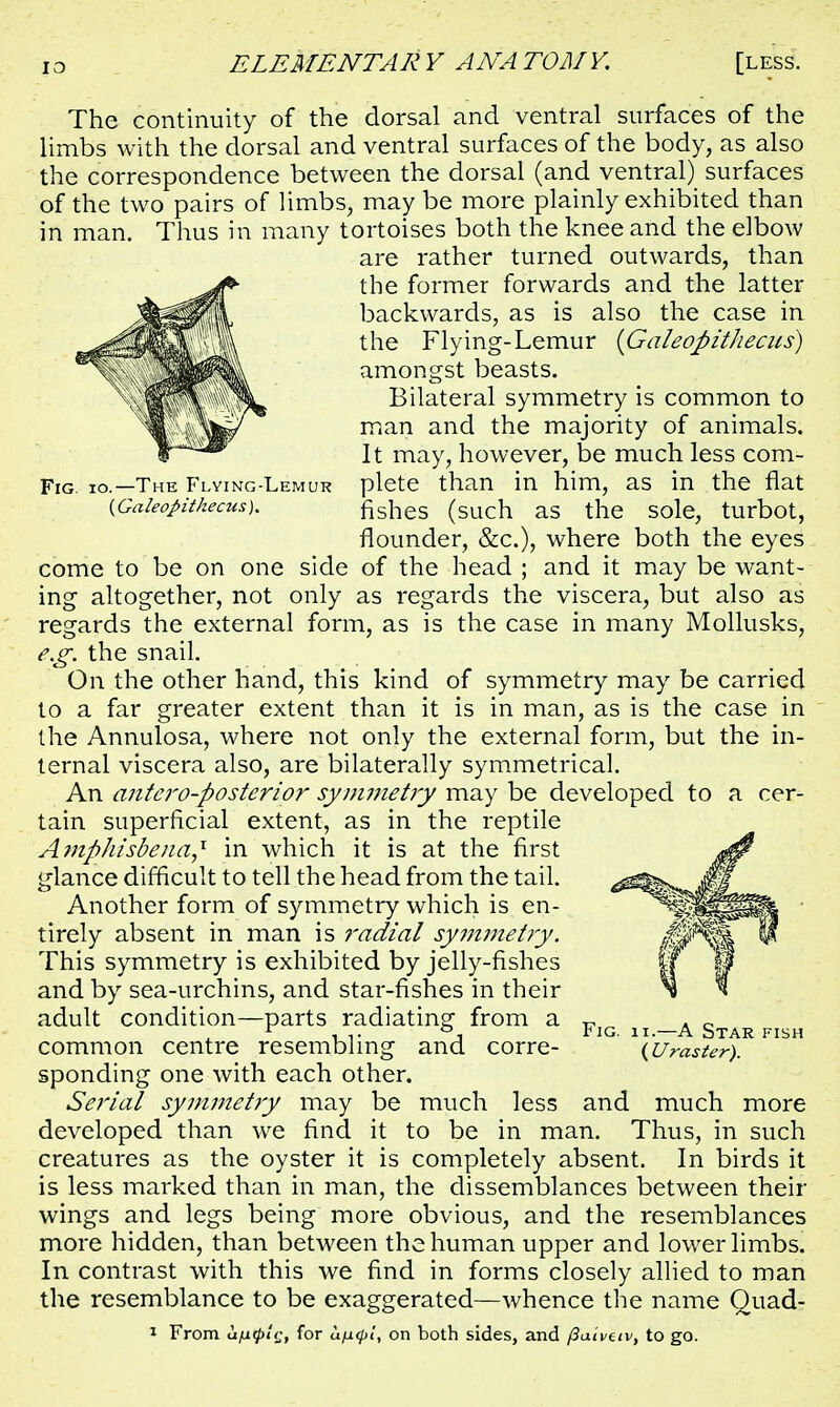 The continuity of the dorsal and ventral surfaces of the limbs with the dorsal and ventral surfaces of the body, as also the correspondence between the dorsal (and ventral) surfaces of the two pairs of limbs, may be more plainly exhibited than in man. Thus in many tortoises both the knee and the elbow are rather turned outwards, than the former forwards and the latter backwards, as is also the case in the Flying-Lemur (GaleopWiecus) amongst beasts. Bilateral symmetry is common to man and the majority of animals. It may, however, be much less com- Fig. 10.—The Flying-Lemur plete than in him, as in the flat {Galeopitkecus). fishes (such as the sole, turbot, flounder, &c), where both the eyes come to be on one side of the head ; and it may be want- ing altogether, not only as regards the viscera, but also as regards the external form, as is the case in many Mollusks, e.g. the snail. On the other hand, this kind of symmetry may be carried to a far greater extent than it is in man, as is the case in the Annulosa, where not only the external form, but the in- ternal viscera also, are bilaterally symmetrical. An antei'o-posterior symmetiy may be developed to a cer- tain superficial extent, as in the reptile Amfthisbena,1 in which it is at the first glance difficult to tell the head from the tail. Another form of symmetry which is en- tirely absent in man is radial symmetry. This symmetry is exhibited by jelly-fishes and by sea-urchins, and star-fishes in their adult condition—parts radiating from a F, common centre resembling and corre- (uraster). sponding one with each other. Serial symmetry may be much less and much more developed than we find it to be in man. Thus, in such creatures as the oyster it is completely absent. In birds it is less marked than in man, the dissemblances between their wings and legs being more obvious, and the resemblances more hidden, than between the human upper and lower limbs. In contrast with this we find in forms closely allied to man the resemblance to be exaggerated—whence the name Quad- * From um0'£'» f°r on both sides, and fiaiveiv, to go.