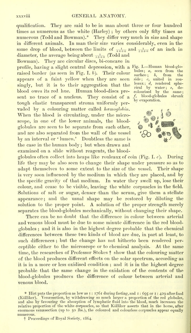qualification. They are said to be in man about three or four hundred times as uumerous as the white (Harley) ; by others only fifty times as numerous (Todd and Bowman).* They differ very much in size and shape in different animals. In man their size varies considerably, even in the same drop of blood, between the limits of 40]0p and 7,-gVo °f an inch in diameter, the average being about -^oo (Todd and Bowman). They are circular discs, bi-concave in profile, having a slight central depression, with a Fig'- I.—Human blood-glo- raised border (as seen in Fig. I. b). Their colour ™XL-h h*™&oT the appears of a faint yellow when they are seen side; c, united in rou- singly, but it is to their aggregation that the ***f\ *> rendered sphe- to J' &t3 & rical by water: e, de- blood owes its red hue. Human blood-discs pre- colourised by the same; sent no trace of a nucleus. They consist of a £ e^°°0^?^ules dmmk tough elastic transparent stroma uniformly per- 5 evaporation, vaded by a colouring matter called haemoglobin. When the blood is circulating, under the micro- scope, in one of the lower animals, the blood- globules are seen to be separate from each other, and are also separated from the wall of the vessel by an interval or 6 lumen.' Doubtless the same is the case in the human body; but when drawn and examined on a slide without reagents, the blood- globules often collect into heaps like rouleaux of coin (Fig. I. c). During life they may be also seen to change their shape under pressure so as to adapt themselves to some extent to the size of the vessel. Their shape is very soon influenced by the medium in which they are placed, and by the specific gravity of that medium. In water they swell up, lose their colour, and cease to be visible, leaving the white corpuscles in the field. Solutions of salt or sugar, denser than the serum, give them a stellate appearance; and the usual shape may be restored by diluting the solution to the proper point. A solution of the proper strength merely separates the blood-globules mechanically, without changing their shape. There can be no doubt that the difference in colour between arterial and venous blood must be due to some minute difference in the red blood- globules ; and it is also in the highest degree probable that the chemical differences between these two kinds of blood are due, in part at least, to such differences ; but the change has not hitherto been rendered per- ceptible either to the microscope or to chemical analysis. At the same time, the researches of Professor Stokes f show that the colouring matter of the blood produces different effects on the solar spectrum, according as it is in a more or less oxidised condition ; and it is in the highest degree probable that the same change in the oxidation of the contents of thf> blood-globules produces the difference of colour between arterial and venous blood. * Ilirt puts the proportion as low as I : 1761 during-fasting-, and 1 : 695 or 1: 429 after food (Kolliker). Venisection, by withdrawing- so much larger a proportion of the red globules, and also by favouring- the absorption of lymphatic fluid into the blood, much increases the relative proportion of the white corpuscles, so that Kolliker asserts that in the horse, after enormous venisection (up to 50 lbs.), the coloured and colourless corpuscles appear equally numerous. t Proceedings of Royal Society, 1864.