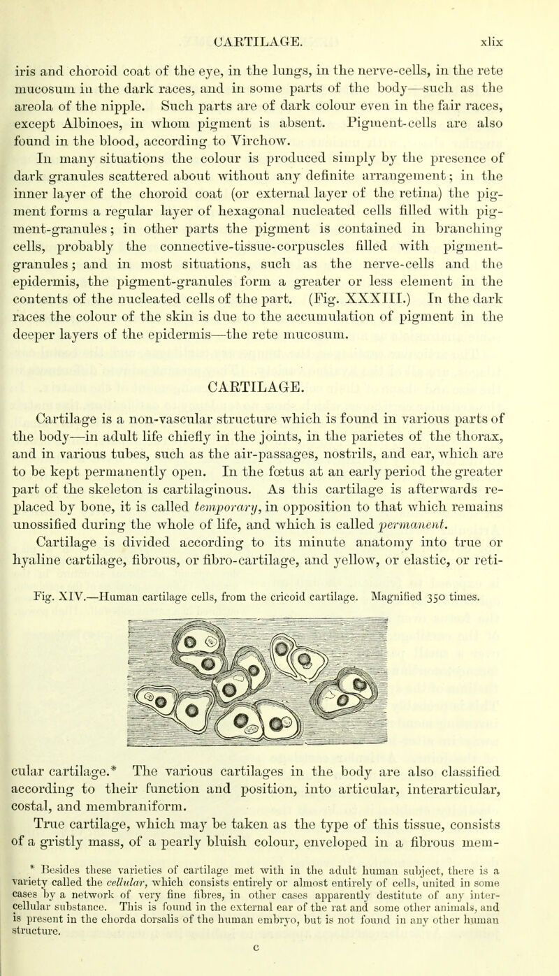 iris and choroid coat of the eye, in the lungs, in the nerve-cells, in the rete mucosu.m in the dark races, and in some parts of the body—such as the areola of the nipple. Such parts are of dark colour even in the fair races, except Albinoes, in whom pigment is absent. Pigment-cells are also found in the blood, according to Virchow. In many situations the colour is produced simply by the presence of dark granules scattered about without any definite arrangement; in the inner layer of the choroid coat (or external layer of the retina) the pig- ment forms a regular layer of hexagonal nucleated cells filled with pig- ment-granules ; in other parts the pigment is contained in branching cells, probably the connective-tissue-corpuscles filled with pigment- granules ; and in most situations, such as the nerve-cells and the epidermis, the pigment-granules form a greater or less element in the contents of the nucleated cells of the part. (Fig. XXXIII.) In the dark races the colour of the skin is due to the accumulation of pigment in the deeper layers of the epidermis—the rete mucosum. CARTILAGE. Cartilage is a non-vascular structure which is found in various parts of the body—in adult life chiefly in the joints, in the parietes of the thorax, and in various tubes, such as the air-passages, nostrils, and ear, which are to be kept permanently open. In the foetus at an early period the greater part of the skeleton is cartilaginous. As this cartilage is afterwards re- placed by bone, it is called temporary, in opposition to that which remains unossified during the whole of life, and which is called permanent. Cartilage is divided according to its minute anatomy into true or hyaline cartilage, fibrous, or fibro-cartilage, and yellow, or elastic, or reti- Fig. XIV.—Human cartilage cells, from the cricoid cartilage. Magnified 350 times. cular cartilage.* The various cartilages in the body are also classified according to their function and position, into articular, interarticular, costal, and membraniform. True cartilage, which may be taken as the type of this tissue, consists of a gristly mass, of a pearly bluish colour, enveloped in a fibrous mem- * Besides these varieties of cartilage met with in the adult human subject, there is a variety called the cellular, which consists entirely or almost entirely of cells, united in some cases by a network of very fine fibres, in other cases apparently destitute of any inter- cellular substance. This is found in the external ear of the rat and some other animals, and is present in the chorda dorsalis of the human embryo, but is not found in any other human structure. c