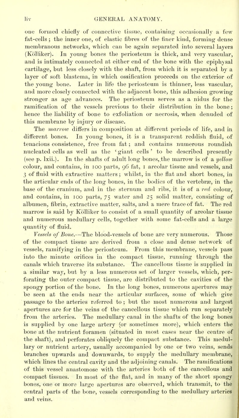 one formed chiefly of connective tissue, containing- occasionally a few fat-cells ; the inner one, of elastic fibres of the finer kind, forming dense membranous networks, which can be again separated into several layers (Kolliker). In young bones the periosteum is thick, and very vascular, and is intimately connected art either end of the bone with the epiphysal cartilage, but less closely with the shaft, from which it is separated by a layer of soft blastema, in which ossification proceeds on the exterior of the young bone. Later in life the periosteum is thinner, less vascular, and more closely connected with the adjacent bone, this adhesion growing stronger as age advances. The periosteum serves as a nidus for the ramification of the vessels previous to their distribution in the bone; hence the liability of bone to exfoliation or necrosis, when denuded of this membrane by injury or disease. The marrow differs in composition at different periods of life, and in different bones. In young bones, it is a transparent reddish fluid, of tenacious consistence, free from fat; and contains numerous roundish nucleated cells as well as the 6 giant cells ' to be described presently (see p. lxii.). In the shafts of adult long bones, the marrow is of a yellow colour, and contains, in 100 parts, 96 fat, 1 areolar tissue and vessels, and 3 of fluid with extractive matters; whilst, in the flat and short bones, in the articular ends of the long bones, in the bodies of the vertebrae, in the base of the cranium, and in the sternum and ribs, it is of a red colour, and contains, in 100 parts, 75 water and 25 solid matter, consisting of albumen, fibrin, extractive matter, salts, and a mere trace of fat. The red marrow is said by Kolliker to consist of a small quantity of areolar tissue and numerous medullary cells, together with some fat-cells and a large quantity of fluid. Vessels of Bone.—The blood-vessels of bone are very numerous. Those of the compact tissue are derived from a close and dense network of vessels, ramifying in the periosteum. From this membrane, vessels pass into the minute orifices in the compact tissue, running through the canals which traverse its substance. The cancellous tissue is supplied in a similar wslj, but by a less numerous set of larger vessels, which, per- forating the outer compact tissue, are distributed to the cavities of the spongy portion of the bone. In the long bones, numerous apertures may be seen at the ends near the articular surfaces, some of which give passage to the arteries referred to ; but the most numerous and largest apertures are for the veins of the cancellous tissue which run separately from the arteries. The medullary canal in the shafts of the long bones is supplied by one large artery (or sometimes more), which enters the bone at the nutrient foramen (situated in most cases near the centre of the shaft), and perforates obliquely the compact substance. This medul- lary or nutrient artery, usually accompanied by one or two veins, sends branches upwards and downwards, to supply the medullary membrane, which lines the central cavity and the adjoining canals. The ramifications of this vessel anastomose with the arteries both of the cancellous and compact tissues. In most of the flat, and in many of the short spongy bones, one or more large apertures are observed, which transmit, to the central parts of the bone, vessels corresponding to the medullary arteries and veins.