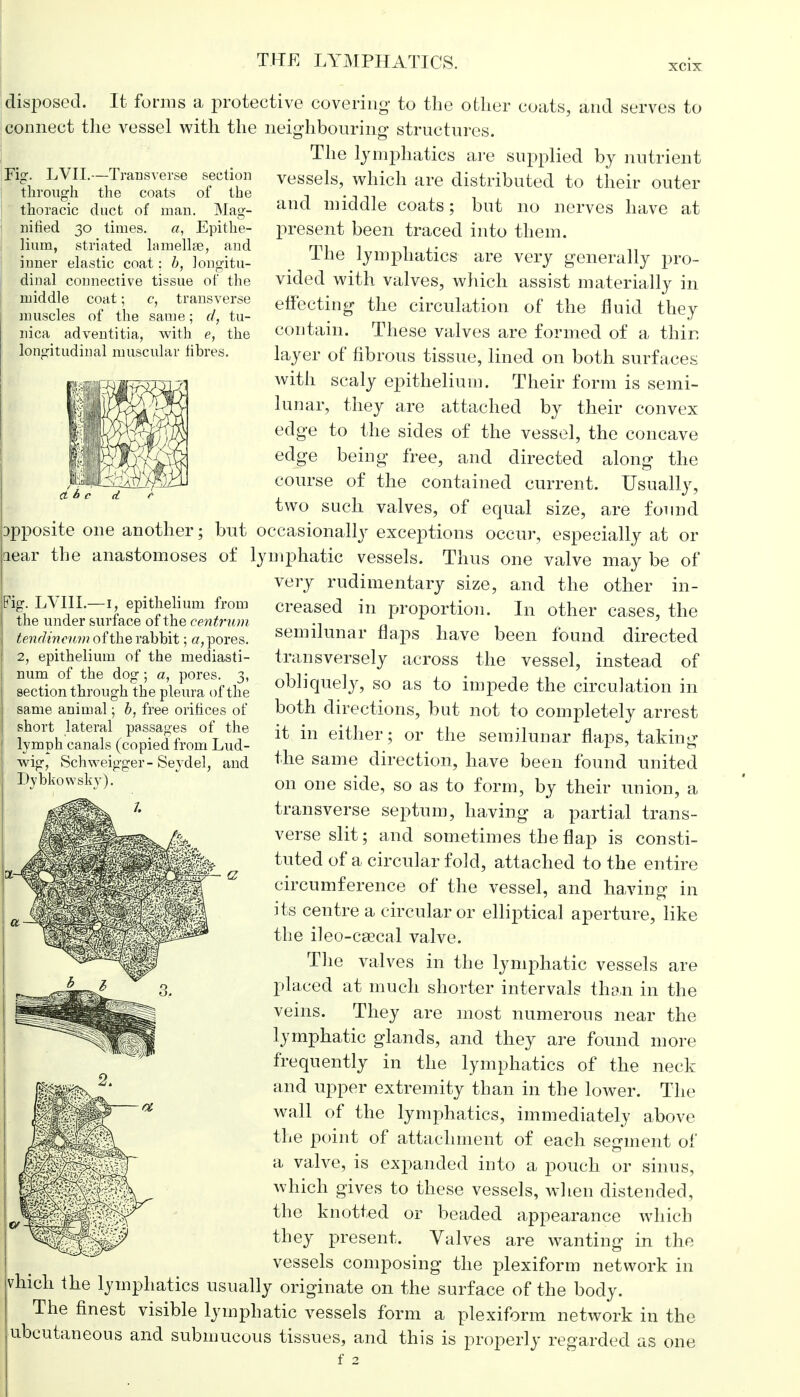 THE LYMPHATICS. XC1X Fig. LVII.—Transverse section through the coats of the thoracic duct of man. Mag- nified 30 times. a, Epithe- lium, striated lamellae, and inner elastic coat: b, longitu- dinal connective tissue of the middle coat; c, transverse muscles of the same; d, tu- nica adventitia, with e, the longitudinal muscular fibres. disposed. It forms a protective covering to the other coats, and serves to connect the vessel with the neighbouring structures. The lymphatics are supplied by nutrient vessels, which are distributed to their outer and middle coats; but no nerves have at present been traced into them. The lymphatics are very generally pro- vided with valves, which assist materially in effecting the circulation of the fluid they contain. These valves are formed of a thin layer of fibrous tissue, lined on both surfaces with scaly epithelium. Their form is semi- lunar, they are attached by their convex edge to the sides of the vessel, the concave edge being free, and directed along the course of the contained current. Usually, two such valves, of equal size, are found Dpposite one another; but occasionally exceptions occur, especially at or near the anastomoses of lymphatic vessels. Thus one valve may be of very rudimentary size, and the other in- creased in proportion. In other cases, the semilunar flaps have been found directed transversely across the vessel, instead of obliquely, so as to impede the circulation in both directions, but not to completely arrest it in either; or the semilunar flaps, taking the same direction, have been found united on one side, so as to form, by their union, a transverse septum, having a partial trans- verse slit; and sometimes the flap is consti- tuted of a circular fold, attached to the entire circumference of the vessel, and having in its centre a circular or elliptical aperture, like the ileo-csecal valve. The valves in the lymphatic vessels are placed at much shorter intervals then in the veins. They are most numerous near the lymphatic glands, and they are found more frequently in the lymphatics of the neck and upper extremity than in the lower. The wall of the lymphatics, immediately above the point of attachment of each segment of a valve, is expanded into a pouch or sinus, which gives to these vessels, when distended, the knotted or beaded appearance which they present. Valves are wanting in the vessels composing the plexiform network in vhich the lymphatics usually originate on the surface of the body. The finest visible lymphatic vessels form a plexiform network in the ubcutaneous and submucous tissues, and this is properly regarded as one Fig. LVIII.—1, epithelium from the under surface of the centrum tendincum of the rabbit; a, pores. 2, epithelium of the mediasti- num of the dog; a, pores. 3, section through the pleura of the same animal; b, free orifices of short lateral passages of the lymph canals (copied from Lud- wig, Schweigger- Seydel, and Dybkowsky).