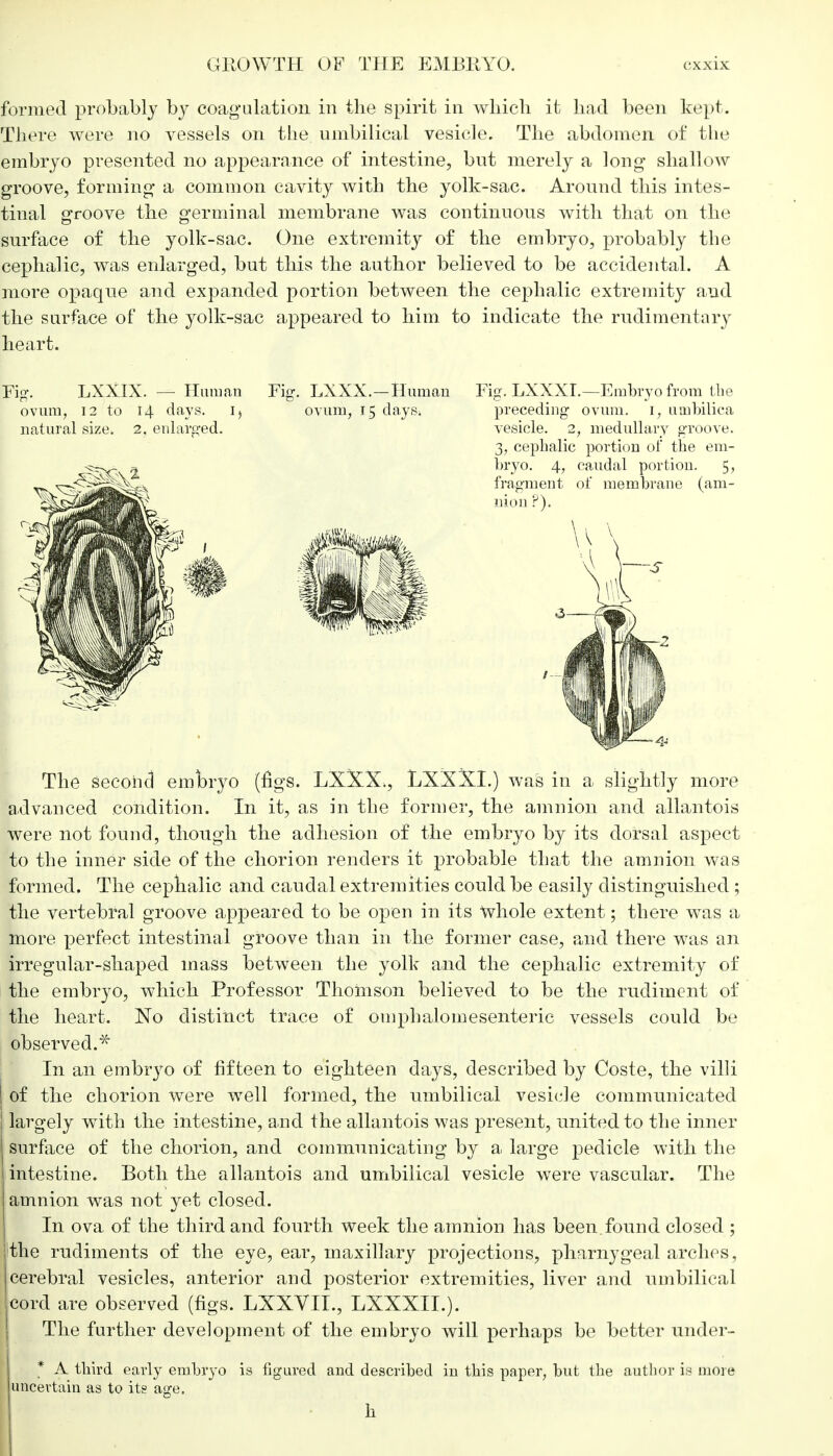 formed probably hy coagulation in the spirit in which it had been kept. There were no vessels on the umbilical vesicle. The abdomen of the embryo presented no appearance of intestine, but merely a long shallow groove, forming a common cavity with the yolk-sac. Around this intes- tinal groove the germinal membrane was continuous with that on the surface of the yolk-sac. One extremity of the embryo, probably the cephalic, was enlarged, but this the author believed to be accidental. A more opaque and expanded portion between the cephalic extremity and the surface of the yolk-sac appeared to him to indicate the rudimentary heart. Fig-, ovum, natural LXXIX. 12 to I size. 2 Human Fu 4 days. . enlarged. LXXX.—Human ovum, 15 days. Fig. LXXXT.—Embryo from the preceding ovum. 1, umbilica vesicle. 2, medullary groove. 3, cephalic portion of the em- bryo. 4., caudal portion. 5, fragment of membrane (am- nion ?). The second embryo (figs. LXXX,, LXXXL) was in a slightly more advanced condition. In it, as in the former, the amnion and allantois were not found, though the adhesion of the embryo by its dorsal aspect to the inner side of the chorion renders it probable that the amnion was formed. The cephalic and caudal extremities could be easily distinguished ; the vertebral groove appeared to be open in its Whole extent; there was a more perfect intestinal groove than in the former case, and there was an irregular-shaped mass between the yolk and the cephalic extremity of the embryo, which Professor Thomson believed to be the rudiment of the heart. No distinct trace of omphalomesenteric vessels could be observed.* In an embryo of fifteen to eighteen days, described by Coste, the villi of the chorion were well formed, the umbilical vesicle communicated largely with the intestine, and the allantois was present, united to the inner surface of the chorion, and communicating by a large pedicle with the intestine. Both the allantois and umbilical vesicle were vascular. The amnion was not yet closed. In ova of the third and fourth week the amnion has been.found closed ; jithe rudiments of the eye, ear, maxillary projections, pharnygeal arches, cerebral vesicles, anterior and posterior extremities, liver and umbilical cord are observed (figs. LXXVIL, LXXXIL). The further development of the embryo will perhaps be better under- * A tbird early embryo is figured and described in tbis paper, but the author is more 'uncertain as to its age. h