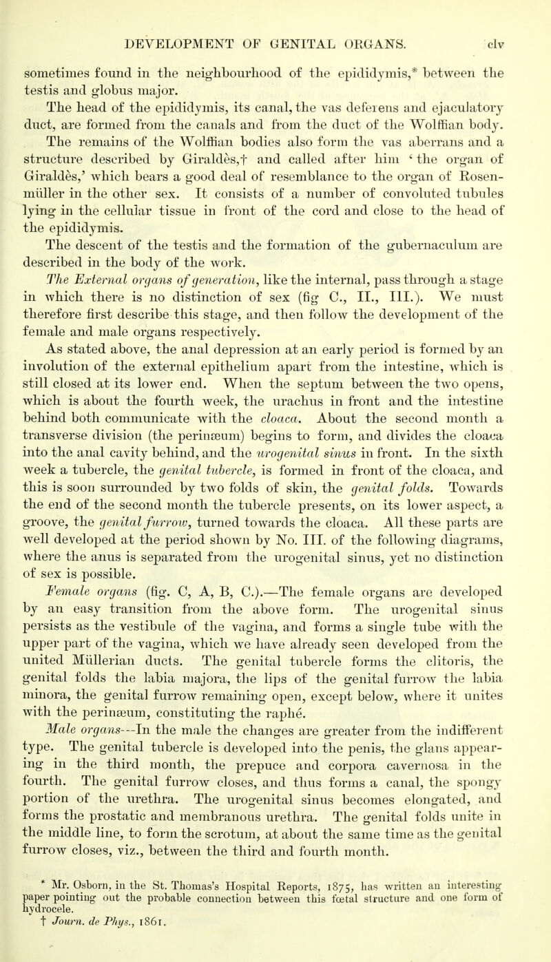 sometimes found in the neighbourhood of the epididymis,* between the testis and globus major. The head of the epididymis, its canal, the vas deferens and ejaculatory duct, are formed from the canals and from the duct of the Wolffian body. The remains of the Wolffian bodies also form the vas aberrans and a structure described by Giraldes,f and called after him 6 the organ of Giraldes,' which bears a good deal of resemblance to the organ of Rosen- miiller in the other sex. It consists of a number of convoluted tubules lying in the cellular tissue in front of the cord and close to the head of the epididymis. The descent of the testis and the formation of the gubernaculum are described in the body of the work. The External organs of generation, like the internal, pass through a stage in which there is no distinction of sex (fig C, II., III.). We must therefore first describe this stage, and then follow the development of the female and male organs respectively. As stated above, the anal depression at an early period is formed by an involution of the external epithelium apart from the intestine, which is still closed at its lower end. When the septum between the two opens, which is about the fourth week, the urachus in front and the intestine behind both communicate with the cloaca. About the second month a transverse division (the perinseum) begins to form, and divides the cloaca into the anal cavity behind, and the urogenital sinus in front. In the sixth week a tubercle, the genital tubercle, is formed in front of the cloaca, and this is soon surrounded by two folds of skin, the genital folds. Towards the end of the second month the tubercle presents, on its lower aspect, a groove, the genital furrow, turned towards the cloaca. All these parts are well developed at the period shown by No. III. of the following diagrams, where the anus is separated from the urogenital sinus, yet no distinction of sex is possible. Female organs (fig. C, A, B, C).—The female organs are developed by an easy transition from the above form. The urogenital sinus persists as the vestibule of the vagina, and forms a single tube with the upper part of the vagina, which we have already seen developed from the united Miillerian ducts. The genital tubercle forms the clitoris, the genital folds the labia majora, the lips of the genital furrow the labia minora, the genital furrow remaining open, except below, where it unites with the perinseum, constituting the raphe. Male organs-—In the male the changes are greater from the indifferent type. The genital tubercle is developed into the penis, the gians appear- ing in the third month, the prepuce and corpora cavernosa in the fourth. The genital furrow closes, and thus forms a canal, the spongy portion of the urethra. The urogenital sinus becomes elongated, and forms the prostatic and membranous urethra. The genital folds unite in the middle line, to form the scrotum, at about the same time as the genital furrow closes, viz., between the third and fourth month. * Mr. Osborn, in the St. Thomas's Hospital Reports, 1875, nas written an interesting- paper pointing- out the probable connection between this fcetal structure and one form of hydrocele. t Joum. de Phys., 1861.
