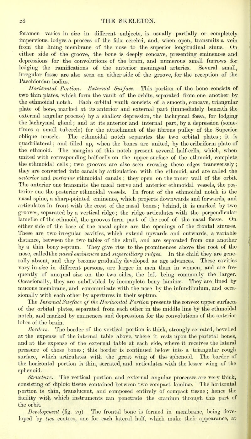foramen varies in size in different subjects, is usually partially or completely impervious, lodges a process of the falx cerebri, and, when open, transmits a vein from the lining membrane of the nose to the superior longitudinal sinus. On either side of the groove, the bone is deeply concave, presenting eminences and depressions for the convolutions of the brain, and numerous small furrows for lodging the ramifications of the anterior meningeal arteries. Several small, irregular fossae are also seen on either side of the groove, for the reception of the Pacchionian bodies. Horizontal Portion. External Surface. This portion of the bone consists of two thin plates, which form the vault of the orbits, separated from one another by the ethmoidal notch. Each orbital vault consists of a smooth, concave, triangular plate of bone, marked at its anterior and external part (immediately beneath the external angular process) by a shallow depression, the lachrymal fossa, for lodging the lachrymal gland; and at its anterior and internal part, by a depression (some- times a small tubercle) for the attachment of the fibrous pulley of the Superior oblique muscle. The ethmoidal notch separates the two orbital plates; it is quadrilateral; and filled up, when the bones are united, by the cribriform plate of the ethmoid. The margins of this notch present several half-cells, which, when united with corresponding half-cells on the upper surface of the ethmoid, complete the ethmoidal cells; two grooves are also seen crossing these edges transversely; they are converted into canals by articulation with the ethmoid, and are called the anterior and posterior ethmoidal canals ; they open on the inner wall of the orbit. The anterior one transmits the nasal nerve and anterior ethmoidal vessels, the pos- terior one the posterior ethmoidal vessels. In front of the ethmoidal notch is the nasal spine, a sharp-pointed eminence, which projects downwards and forwards, and articulates in front with the crest of the nasal bones; behind, it is marked by two grooves, separated by a vertical ridge; the ridge articulates with the perpendicular lamella? of the ethmoid, the grooves form part of the roof of the nasal fossa?. On either side of the base of the nasal spine are the openings of the frontal sinuses. These are two irregular cavities, which extend upwards and outwards, a variable distance, between the two tables of the skull, and are separated from one another by a thin bony septum. They give rise to the prominences above the root of the nose, called the nasal eminences and superciliary ridges. In the child they are gene- rally absent, and they become gradually developed as age advances. These cavities vary in size in different persons, are larger in men than in women, and are fre- quently of unequal size on the two sides, the left being commonly the larger. Occasionally, they are subdivided by incomplete bony lamina?. They are lined by mucous membrane, and communicate with the nose by the infundibulum, and occa- sionally with each other by apertures in their septum. The Internal Surf ace of the Horizontal Portion presents the convex upper surfaces of the orbital plates, separated from each other in the middle line by the ethmoidal notch, and marked by eminences and depressions for the convolutions of the anterior lobes of the brain. Borders. The border of the vertical portion is thick, strongly serrated, bevelled at the expense of the internal table above, where it rests upon the parietal bones, and at the expense of the external table at each side, where it receives the lateral pressure of those bones; this border is continued below into a triangular rough surface, which articulates with the great wing of the sphenoid. The border of the horizontal portion is thin, serrated, and articulates with the lesser wing of the sphenoid. Structure. The vertical portion and external angular processes are very thick, consisting of diploic tissue contained between two compact lamina?. The horizontal portion is thin, translucent, and composed entirely of compact tissue; hence the facility with which instruments can penetrate the cranium through this part of the orbit. Development (fig. 29). The frontal bone is formed in membrane, being deve- loped by two centres, one for each lateral half, which make their appearance, at