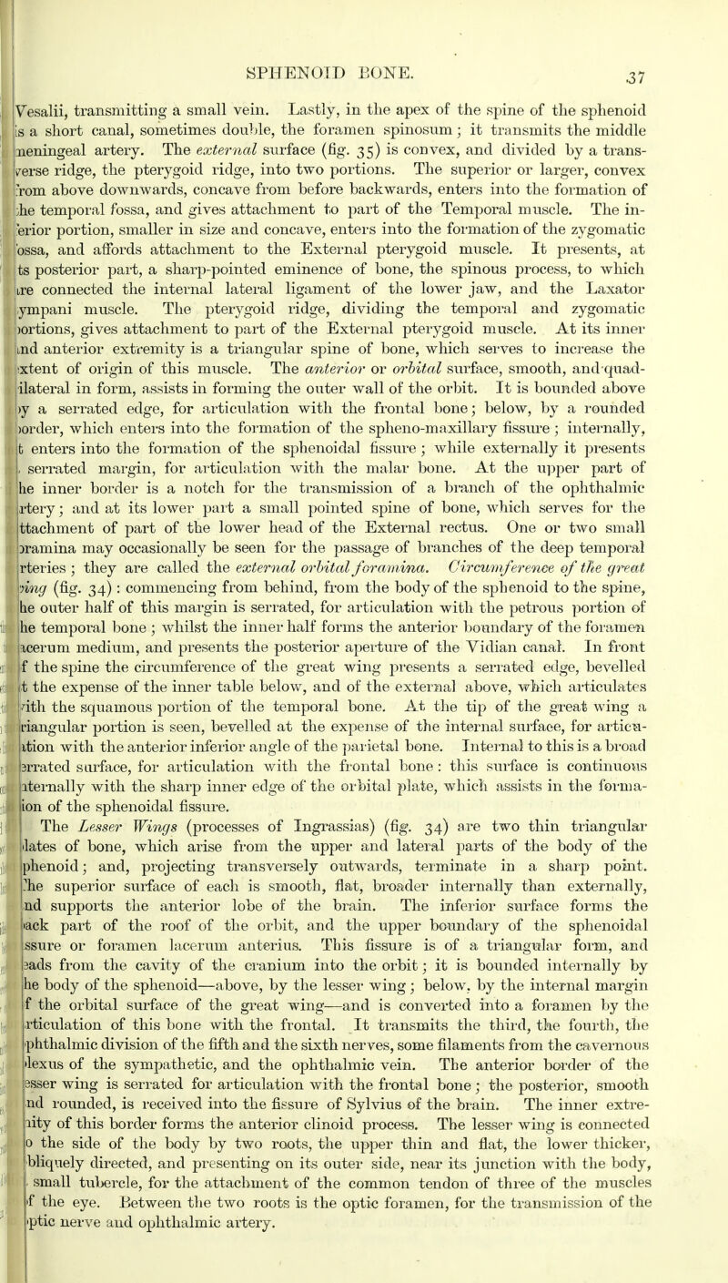 1 Vesalii, transmitting a small vein. Lastly, in the apex of the spine of the sphenoid Is a short canal, sometimes double, the foramen spinosum; it transmits the middle meningeal artery. The external surface (fig. 35) is convex, and divided by a trans- verse ridge, the pterygoid ridge, into two portions. The superior or larger, convex From above downwards, concave from before backwards, enters into the formation of bhe temporal fossa, and gives attachment to part of the Temporal muscle. The in- ferior portion, smaller in size and concave, enters into the formation of the zygomatic ossa, and affords attachment to the External pterygoid muscle. It presents, at ts posterior part, a sharp-pointed eminence of bone, the spinous process, to which jire connected the internal lateral ligament of the lower jaw, and the Laxator :J ympani muscle. The pterygoid ridge, dividing the temporal and zygomatic portions, gives attachment to part of the External pterygoid muscle. At its inner Lnd anterior extremity is a triangular spine of bone, which serves to increase the Ajjixtent of origin of this muscle. The anterior or orbital surface, smooth, andquad- ilateral in form, assists in forming the outer wall of the orbit. It is bounded above >y a serrated edge, for articulation with the frontal bone; below, by a rounded J jborder, which enters into the formation of the spheno-maxillary fissure ; internally, It enters into the formation of the sphenoidal fissure ; while externally it presents I serrated margin, for articulation with the malar bone. At the upper part of 'he inner border is a notch for the transmission of a branch of the ophthalmic jrtery; and at its lower part a small pointed spine of bone, which serves for the ttachment of part of the lower head of the External rectus. One or two small jDramina may occasionally be seen for the passage of branches of the deep temporal 1 rteries ; they are called the external orbital foramina. Circumference of the great \\ring (fig. 34) : commencing from behind, from the body of the sphenoid to the spine, be outer half of this margin is serrated, for articulation with the petrous portion of tt he temporal bone ; whilst the inner half forms the anterior boundary of the foramen tl iicerum medium, and presents the posterior aperture of the Vidian canal. In front utjj If the spine the circumference of the great wing presents a serrated edge, bevelled t it the expense of the inner table below, and of the external above, which articulates t kith the squamous portion of the temporal bone. At the tip of the great wing a i riangular portion is seen, bevelled at the expense of the internal surface, for articu- II: jition with the anterior inferior angle of the parietal bone. Internal to this is a broad n'i brrated surface, for articulation with the frontal bone : this surface is continuous i iternally with the sharp inner edge of the orbital plate, which assists in the forma- |ion of the sphenoidal fissure. |: The Lesser Wings (processes of Ingrassias) (fig. 34) are two thin triangular ot Mates of bone, which arise from the upper and lateral parts of the body of the ,! phenoid; and, projecting transversely outwards, terminate in a sharp point, li -he superior surface of each is smooth, flat, broader internally than externally, jad supports the anterior lobe of the brain. The inferior surface forms the Id »ack part of the roof of the orbit, and the upper boundary of the sphenoidal IjMlssure or foramen lacerum anterius. This fissure is of a triangular form, and |3acls from the cavity of the cranium into the orbit; it is bounded internally by he body of the sphenoid—above, by the lesser wing; below, by the internal margin f the orbital surface of the great wing—and is converted into a foramen by the I rticulation of this bone with the frontal. It transmits the third, the fourth, the (if Ophthalmic division of the fifth and the sixth nerves, some filaments from the cavernous (| »lexus of the sympathetic, and the ophthalmic vein. The anterior border of the |(1 ijssser wing is serrated for articulation with the frontal bone; the posterior, smooth nd rounded, is received into the fissure of Sylvius of the brain. The inner extre- X pity of this border forms the anterior clinoid process. The lesser wing is connected ,, jo the side of the body by two roots, the upper thin and flat, the lower thicker, jbliquely directed, and presenting on its outer side, near its junction with the body, 1 small tubercle, for the attachment of the common tendon of three of the muscles f the eye. Between the two roots is the optic foramen, for the transmission of the >ptic nerve and ophthalmic artery.