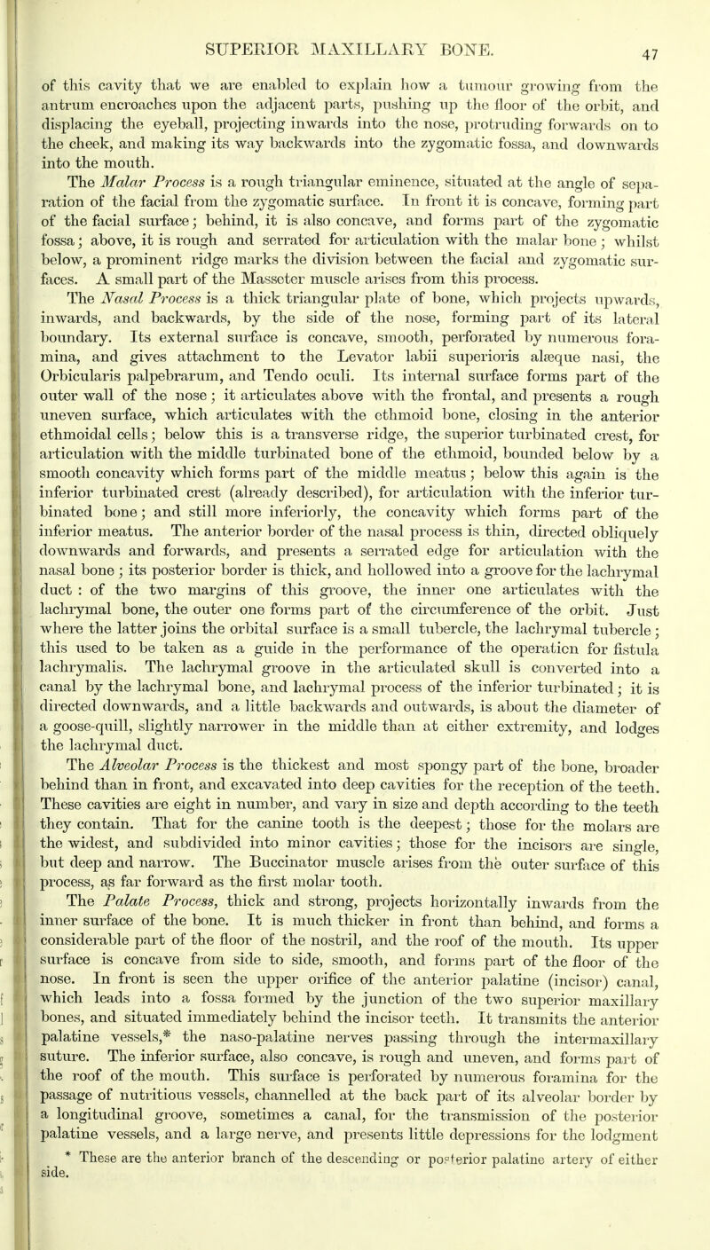 of this cavity that we are enabled to explain how a tumour growing from the antrum encroaches upon the adjacent parts, pushing up the floor of the orbit, and displacing the eyeball, projecting inwards into the nose, protruding forwards on to the cheek, and making its way backwards into the zygomatic fossa, and downwards into the mouth. The Malar Process is a rough triangular eminence, situated at the angle of sepa- ration of the facial from the zygomatic surface. In front it is concave, forming part of the facial surface; behind, it is also concave, and forms part of the zygomatic fossa; above, it is rough and serrated for articulation with the malar bone ; whilst below, a prominent ridge marks the division between the facial and zygomatic sur- faces. A small part of the Massoter muscle arises from this process. The Nasal Process is a thick triangular plate of bone, which projects upwards, inwards, and backwards, by the side of the nose, forming part of its lateral boundary. Its external surface is concave, smooth, perforated by numerous fora- mina, and gives attachment to the Levator labii superioris alseque nasi, the Orbicularis palpebrarum, and Tendo oculi. Its internal surface forms part of the outer wall of the nose; it articulates above with the frontal, and presents a rough uneven surface, which articulates with the ethmoid bone, closing in the anterior ethmoidal cells; below this is a transverse ridge, the superior turbinated crest, for articulation with the middle turbinated bone of the ethmoid, bounded below by a smooth concavity which forms part of the middle meatus; below this again is the inferior turbinated crest (already described), for articulation with the inferior tur- binated bone; and still more inferiorly, the concavity which forms part of the inferior meatus. The anterior border of the nasal process is thin, directed obliquely downwards and forwards, and presents a serrated edge for articulation with the nasal bone ; its posterior border is thick, and hollowed into a groove for the lachrymal duct : of the two margins of this groove, the inner one articulates with the lachrymal bone, the outer one forms part of the circumference of the orbit. Just where the latter joins the orbital surface is a small tubercle, the lachrymal tubercle; this used to be taken as a guide in the performance of the operation for fistula lachrymalis. The lachrymal groove in the articulated skull is converted into a canal by the lachrymal bone, and lachrymal process of the inferior turbinated; it is directed downwards, and a little backwards and outwards, is about the diameter of a goose-quill, slightly narrower in the middle than at either extremity, and lodges the lachrymal duct. The Alveolar Process is the thickest and most spongy part of the bone, broader behind than in front, and excavated into deep cavities for the reception of the teeth. These cavities are eight in number, and vary in size and depth according to the teeth i they contain. That for the canine tooth is the deepest; those for the molars are the widest, and subdivided into minor cavities; those for the incisors are single, but deep and narrow. The Buccinator muscle arises from the outer surface of this process, as far forward as the first molar tooth. The Palate Process, thick and strong, projects horizontally inwards from the I inner surface of the bone. It is much thicker in front than behind, and forms a j considerable part of the floor of the nostril, and the roof of the mouth. Its upper | surface is concave from side to side, smooth, and forms part of the floor of the nose. In front is seen the upper orifice of the anterior palatine (incisor) canal, which leads into a fossa formed by the junction of the two superior maxillary bones, and situated immediately behind the incisor teeth. It transmits the anterior palatine vessels,* the naso-palatine nerves passing through the intermaxillary | suture. The inferior surface, also concave, is rough and uneven, and forms part of the roof of the mouth. This surface is perforated by numerous foramina for the I passage of nutritious vessels, channelled at the back part of its alveolar border by a longitudinal groove, sometimes a canal, for the transmission of the posterior palatine vessels, and a large nerve, and presents little depressions for the lodgment * These are the anterior branch of the descending or posterior palatine artery of either side.