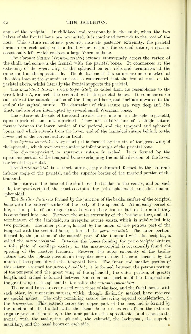 angle of the occipital. In childhood and occasionally in the adult, when the two halves of the frontal bone are not united, it is continued forwards to the root of the nose. This suture sometimes presents, near its posterior extremity, the parietal foramen on each side; and in front, where it joins the coronal suture, a space is occasionally left, which encloses a large Wormian bone. The Coronal Suture (fr onto-parietal) extends transversely across the vertex of the skull, and connects the frontal with the parietal bones. It commences at the extremity of the great wing of the sphenoid on one side, and terminates at the same point on the opposite side. The dentations of this suture are more marked at the sides than at the summit, and are so constructed that the frontal rests on the parietal above, whilst literally the frontal supports the parietal. The Lambdoid Suture (occipito-parietal), so called from its resemblance to the Greek letter A, connects the occipital with the parietal bones. It commences on each side at the mastoid portion of the temporal bone, and inclines upwards to the end of the sagittal suture. The dentations of this suture are very deep and dis- tinct, and are often interrupted by several small Wormian bones. The sutures at the side of the skull are also three in number : the spheno-parietal, squamo-parietal, and masto-parietal. They are subdivisions of a single suture, formed between the lower border of the parietal, and the temporal and sphenoid bones, and which extends from the lower end of the lambdoid suture behind, to the lower end of the coronal suture in front. The Spheno-parietal is very short; it is formed by the tip of the great wing of the sphenoid, which overlays the anterior inferior angle of the parietal bone. The Squamo-parietal, or squamous suture, is arched. It is formed by the squamous portion of the temporal bone overlapping the middle division of the lower border of the parietal. The Masto-parietal is a short suture, deeply dentated, formed by the posterior inferior angle of the parietal, and the superior border of the mastoid portion of the temporal. The sutures at the base of the skull are, the basilar in the centre, and on each side, the petro-occipital, the masto-occipital, the petro-sphenoidal, and the squamo- sphenoidal. The Basilar Suture is formed by the junction of the basilar surface of the occipital bone with the posterior surface of the body of the sphenoid. At an early period of life, a thin plate of cartilage exists between these bones; but in the adult they become fused into one. Between the outer extremity of the basilar suture, and the termination of the lambdoid, an irregular suture exists, which is subdivided into two portions. The inner portion, formed by the union of the petrous part of the temporal with the occipital bone, is termed the petro-occipital. The outer portion, formed by the junction of the mastoid part of the temporal with the occipital, is called the masto-occipital. Between the bones forming the petro-occipital suture, a thin plate of cartilage exists ; in the masto-occipital is occasionally found the opening of the mastoid foramen. Between the outer extremity of the basilar suture and the spheno-parietal, an irregular suture may be seen, formed by the union of the sphenoid with the temporal bone. The inner and smaller portion of this suture is termed the petro-sphenoidal; it is formed between the petrous portion of the temporal and the great wing of the sphenoid; the outer portion, of greater length, and arched, is formed between the squamous portion of the temporal and the great wing of the sphenoid : it is called the squamo-sphenoidal. The cranial bones are connected with those of the face, and the facial bones with each other, by numerous sutures, which, though distinctly marked, have received no special names. The only remaining suture deserving especial consideration, is the transverse. This extends across the upper part of the face, and is formed by the junction of the frontal with the facial bones : it extends from the external angular process of one side, to the same point on the opposite side, and connects the frontal with the malar, the sphenoid, the ethmoid, the lachrymal, the superior maxillary, and the nasal bones on each side. •