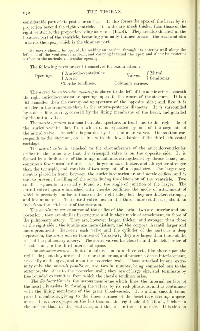 considerable part of its posterior surface. It also forms the apex of the heart by its projection beyond the right ventricle. Its walls are much thicker than those of the right ventricle, the proportion being as 2 to 1 (Bizot). They are also thickest in the broadest part of the ventricle, becoming gradually thinner towards the base, and also towards the apex, which is the thinnest part. Its cavity should he opened, by making an incision through its anterior wall along the left side of the ventricular septum, and carrying it round the apex and along its posterior surface to the auriculo-ventricular opening. The following parts present themselves for examination :— „ . f Auriculo-ventricular. Tr , f Mitral. Openings. < . ,. Valves. < 1 & I Aortic I Semilunar. Chordae tendineae. Columnae carneae. The auriculo-ventricular opening is placed to the left of the aortic orifice, beneath the right auriculo-ventricular opening, opposite the centre of the sternum. It is a little smaller than the corresponding aperture of the opposite side ; and, like it, is broader in the transverse than in the antero-posterior diameter. It is surrounded by a dense fibrous ring, covered by the lining membrane of the heart, and guarded by the mitral valve. The aortic opening is a small circular aperture, in front and to the right side of the auriculo-ventricular, from which it is separated by one of the segments of the mitral valve. Its orifice is guarded by the semilunar valves. Its position cor- responds to the sternum, on a line with the lower border of the third left costal cartilage. The mitral valve is attached to the circumference of the auriculo-ventricular orifice in the same way that the tricuspid valve is on the opposite side. It is formed by a duplicature of the lining membrane, strengthened by fibrous tissue, and contains a few muscular fibres. It is larger in size, thicker, and altogether stronger than the tricuspid, and consists of two segments of unequal size. The larger seg- ment is placed in front, between the auriculo-ventricular and aortic orifices, and is said to prevent the filling of the aorta during the distension of the ventricle. Two smaller segments are usually found at the angle of junction of the larger. The mitral valve-flaps are furnished with chordae tendineae, the mode of attachment of which is precisely similar to those on the right side; but they are thicker, stronger, and less numerous. The mitral valve lies in the third intercostal space, about an inch from the left border of the sternum. The semilunar valves surround the orifice of the aorta; two are anterior and one posterior ; they are similar in structure, and in their mode of attachment, to those of the pulmonary artery. They are, however, larger, thicker, and stronger than those of the right side ; the lunulas are more distinct, and the corpora Arantii larger and more prominent. Between each valve and the cylinder of the aorta is a deep depression, the sinus aortici (sinuses of Valsalva) ; they are larger than those at the root of the pulmonary artery. The aortic valves lie close behind the left border of the sternum, in the third intercostal space. The columnce cameaz admit of a subdivision into three sets, like those upon the right side; but they are smaller, more numerous, and present a dense interlacement, especially at the apex, and upon the posterior wall. Those attached by one extre- mity only, the musculi papillares, are two in number, being connected one to the anterior, the other to the posterior wall; they are of large size, and terminate by free rounded extremities, from which the chordae tendineae arise. The Endocardium is the serous membrane which lines the internal surface of the heart; it assists in forming the valves by its reduplications, and is continuous with the lining membrane of the great blood-vessels. It is a thin, smooth, trans- parent membrane, giving to the inner surface of the heart its glistening appear- ance. It is more opaque on the left than on the right side of the heart, thicker in the auricles than in the ventricles, and thickest in the left auricle. It is thin on