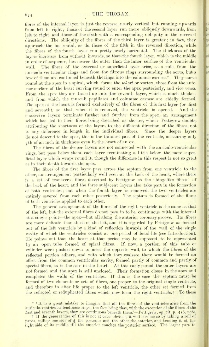 fibres of the internal layer is just the reverse, nearly vertical but running upwards from left to right; those of the second layer run more obliquely downwards, from left to right, and those of the sixth with a corresponding obliquity in the reversed directions. The obliquity of the fibres of the third layer is greater ; in fact, they approach-the horizontal, as do those of the fifth in the reversed direction, while the fibres of the fourth layer run pretty nearly horizontal. The thickness of the layers increases from without inwards, so that the fourth layer, which is the middle in order of sequence, lies nearer the outer than the inner surface of the ventricular wall. The fibres of the external or superficial layer arise, as a rule, from the auriculo-ventricular rings and from the fibrous rings surrounding the aorta, but a few of them are continued beneath the rings into the columnse carnea?.* They curve round at the apex in a spiral, which forms the whorl or vortex, those from the ante- rior surface of the heart curving round to enter the apex posteriorly, and vice versa. From the apex they are traced up into the seventh layer, which is much thicker, and from which the musculi papillares and columna? carnese are chiefly formed. The apex of the heart is formed exclusively of the fibres of this first layer (or first and seventh), so that, when it is removed, the ventricle is opened. And the successive layers terminate further and further from the apex, an arrangement which has led to their fibres being described as shorter, which Pettigrew doubts, attributing the shortness of the layers to the different direction of the fibres, not to any difference in length in the individual fibres. Since the deeper layers do not descend to the apex, this is the thinnest part of the ventricle, measuring only ^th of an inch in thickness even in the heart of an ox. The fibres of the deeper layers are not connected with the auriculo-ventricular rings, but pass below them, each layer terminating a little below the more super- ficial layer which wraps round it, though the difference in this respect is not so great as in their depth towards the apex. The fibres of the first layer pass across the septum from one ventricle to the other, an arrangement particularly well seen at the back of the heart, where there is a set of transverse fibres described by Pettigrew as the ' hingelike fibres' of the back of the heart, and the three subjacent layers also take part in the formation of both ventricles; but when the fourth layer is removed, the two ventricles are entirely severed from each other posteriorly. The septum is formed of the fibres of both ventricles applied to each other. The general arrangement of the fibres of the right ventricle is the same as that of the left, but the external fibres do not pass in to be continuous with the internal at a single point—the apex—but all along the anterior coronary groove. Its fibres are more delicate than those of the left, and it is regarded by Pettigrew as formed out of the left ventricle by a kind of reflection inwards of the wall of the single cavity of which the ventricles consist at one period of foetal life (see Introduction). He points out that the heart at that period may be supposed to be represented by an open tube formed of spiral fibres. If, now, a portion of this tube or cylinder were pushed down to meet the opposite wall, to which the fibres of the reflected portion adhere, and with which they coalesce, there would be formed an offset from the common ventricular cavity, formed partly of common and partly of special fibres, as is the case in the heart. At this early period the outer layers are not formed and the apex is still unclosed. Their formation closes in the apex and completes the walls of the ventricles. If this is the case the septum must be formed of two elements or sets of fibres, one proper to the original single ventricle, and therefore in after life proper to the left ventricle, the other set formed from the reflected or reduplicated fibres which now form the right ventricle.f To these * ' It is a great mistake to imagine that all the fibres of the ventricles arise from the auriculo-ventricular tendinous rings, the fact being that, with the exception of the fibres of the first and seventh layers, they are continuous beneath them.'—Pettigrew, op. cit. p. 456, note. f If the general idea of this is not at once obvious, it will become so by taking a roll of paper, calling one side of it the posterior and the other the anterior, and bending it at the right side of its middle till the anterior touches the posterior surface. The larger part to