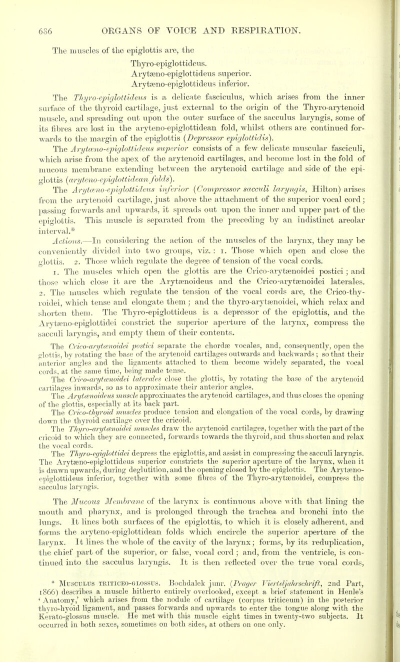 The muscles of the epiglottis are, the Thyro-epiglottideus. Arytseno-epiglottideus superior. Arytseno-epiglottideus inferior. The Thyro-epiglottideus is a delicate fasciculus, which arises from the inner surface of the thyroid cartilage, just external to the origin of the Thyro-arytenoid muscle, and spreading out upon the outer surface of the sacculus laryngis. some of its fibres are lost in the aryteno-epiglottidean fold, whilst others are continued for- wards to the margin of the epiglottis {Depressor epiglottitis). The Arytwno-epiglottideus superior consists of a few delicate muscular fasciculi, which arise from the apex of the arytenoid cartilages, and become lost in the fold of mucous membrane extending between the arytenoid cartilage and side of the epi- glottis (aryteno-epiglottidean folds). The Arytceno-epiglottideus inferior (Compressor sacculi laryngis, Hilton) arises from the arytenoid cartilage, just above the attachment of the superior vocal cord; passing forwards and upwards, it spreads out upon the inner and upper part of the epiglottis. This muscle is separated from the preceding by an indistinct areolar interval.* Actions.—In considering the action of the muscles of the larynx, they may be conveniently divided into two groups, viz. : i. Those which open and close the glottis. 2. Those which regulate the degree of tension of the vocal cords. i. The muscles which open the glottis are the Crico-arytaenoidei postici; and those which close it are the Arytsenoideus and the Crico-arytaenoidei laterales. 2. The muscles which regulate the tension of the vocal cords are, the Crico-thy- roidei, which tense and elongate them ; and the thyro-arytsenoidei, which relax and shorten them. The Thyro-epiglottideus is a depressor of the epiglottis, and the Arytseno-epiglottidei constrict the superior aperture of the larynx, compress the sacculi laryngis, and empty them of their contents. The Crico-arytcenoidei postici separate the chordae vocales, and, consequently, open the glottis, by rotating the base of the arytenoid cartilages outwards and backwards; so that their anterior angles and the ligaments attached to them become Avidely separated, the vocal cords, at the same time, being made tense. The Criro-anjt(snoidei laterales close the glottis, by rotating the base of the arytenoid cartilages inwards, so as to approximate their anterior angles. The Aryt&noideus muscle approximates the arytenoid cartilages, and thus closes the opening of the glottis, especially at its back part. The Crico-thyroid muscles produce tension and elongation of the vocal cords, by drawing down the thyroid cartilage over the cricoid. The Thyro-arytcenoidei muscles draw the arytenoid cartilages, together with the part of the cricoid to which they are connected, forwards towards the thyroid, and thus shorten and relax the vocal cords. The Thyro-egiglottidei depress the epiglottis, and assist in compressing the sacculi laryngis. The Arytseno-epiglottideus superior constricts the superior aperture of the larynx, when it is drawn upwards, during deglutition, and the opening closed by the epiglottis. The Arytamo- epiglottideus inferior, together with some fibres of the Thyro-arytsenoidei, compress the sacculus laryngis. The Mucous Alembrane of the larynx is continuous ahove with that lining the mouth and pharynx, and is prolonged through the trachea, and bronchi into the lungs. It lines both surfaces of the epiglottis, to which it is closely adherent, and forms the aryteno-epiglottidean folds which encircle the superior aperture of the larynx. It lines the whole of the cavity of the larynx; forms, by its reduplication, the chief part of the superior, or false, vocal cord ; and, from the ventricle, is con- tinued into the sacculus laryngis. It is then reflected over the true vocal cords, * Musculus triticeo-glossus. Bochdalek junr. (Prayer Vierteljahrschrift, 2nd Part, 1866) describes a muscle hitherto entirely overlooked, except a brief statement in Henle's ' Anatomy,' which arises from the nodule of cartilage (corpus triticeum) in the posterior thyro-hyoid ligament, and passes forwards and upwards to enter the tongue along with the Kerato-glossus muscle. He met with this muscle eight times in twenty-two subjects. It occurred in both sexes, sometimes on both sides, at others on one only.
