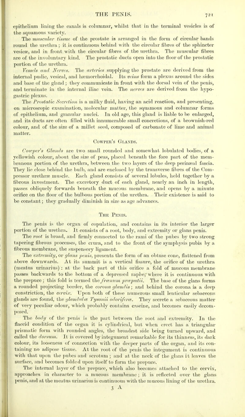 epithelium lining the canals is columnar, whilst that in the terminal vesicles is of the squamous variety. The muscular tissue of the prostate is arranged in the form of circular bands round the urethra; it is continuous behind with the circular fibres of the sphincter vesicae, and in front with the circular fibres of the urethra. The muscular fibres are of the involuntary kind. The prostatic ducts open into the floor of the prostatic portion of the urethra. Vessels and Nerves. The arteries supplying the prostate are derived from the internal pudic, vesical, and hsemorrhoidal. Its veins form a plexus around the sides and base of the gland; they communicate in front with the dorsal vein of the penis, and terminate in the internal iliac vein. The nerves are derived from the hypo- gastric plexus. The Prostatic Secretion is a milky fluid, having an acid reaction, and presenting, on microscopic examination, molecular matter, the squamous and columnar forms of epithelium, and granular nuclei. In old age, this gland is liable to be enlarged, and its ducts are often filled with innumerable small concretions, of a brownish-red colour, and of the size of a millet seed, composed of carbonate of lime and animal matter. Cowper's Glands. Cowpers Glands are two small rounded and somewhat lobulated bodies, of a yellowish colour, about the size of peas, placed beneath the fore part of the mem- branous portion of the urethra, between the two layers of the deep perinseal fascia. They lie close behind the bulb, and are enclosed by the transverse fibres of the Com- pressor urethraB muscle. Each gland consists of several lobules, held together by a fibrous investment. The excretory duct of each gland, nearly an inch in length, passes obliquely forwards beneath the mucous membrane, and opens by a minute orifice on the floor of the bulbous portion of the urethra. Their existence is said to be constant; they gradually diminish in size as age advances. The Penis. The penis is the organ of copulation, and contains in its interior the larger portion of the urethra. It consists of a root, body, and extremity or glans penis. The root is broad, and firmly connected to the rami of the pubes by two strong tapering fibrous processes, the crura, and to the front of the symphysis pubis by a fibrous membrane, the suspensory ligament. The extremity, or glans penis, presents the form of an obtuse cone, flattened from above downwards. At its summit is a vertical fissure, the orifice of the urethra (meatus urinarius) : at the back part of this orifice a fold of mucous membrane passes backwards to the bottom of a depressed raphe/ where it is continuous with the prepuce; this fold is termed the frcemtm prceputii. The base of the glans forms a rounded projecting border, the corona gland is; and behind the corona is a deep constriction, the cervix. Upon both of these numerous small lenticular sebaceous glands are found, the glandulce Tysonii odoriferce. They secrete a sebaceous matter of very peculiar odour, which probably contains caseine, and becomes easily decom- posed. The body of the penis is the part between the root and extremity. In the flaccid condition of the organ it is cylindrical, but when erect has a triangular prismatic form with rounded angles, the broadest side being turned upward, and called the dorsum. It is covered by integument remarkable for its thinness, its dark colour, its looseness of connection with the deeper parts of the organ, and its con- taining no adipose tissue. At the root of the penis the integument is continuous with that upon the pubes and scrotum ; and at the neck of the glans it leaves the surface, and becomes folded upon itself to form the prepuce. The internal layer of the prepuce, which also becomes attached to the cervix, approaches in character to a mucous membrane; it is reflected over the glans penis, and at the meatus urinarius is continuous with the mucous lining of the urethra. 3 A