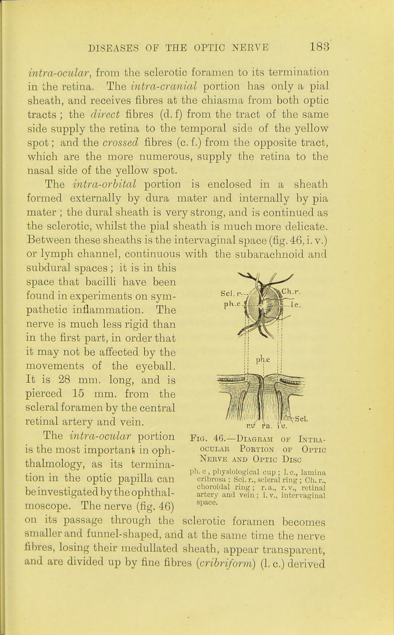 intra-ocular, from the sclerotic foramen to its termination in the retina. Tlie intra-cranial portion has only a pial sheath, and receives fibres at the chiasma from both optic tracts ; the direct fibres (d. f) from the tract of the same side supply the retina to the temporal side of the yellow spot; and the crossed fibres (c. f.) from the opposite tract, which are the more numerous, supply the retina to the nasal side of the yellow spot. The intra-orhital portion is enclosed in a sheath formed externally by dura mater and internally by pia mater ; the dural sheath is very strong, and is continued as the sclerotic, whilst the pial sheath is much more delicate. Between these sheaths is the intervaginal space (fig. 46, i. v.) or lymph channel, continuous with the subarachnoid and subdural spaces ; it is in this space that bacilli have been found in experiments on sym- pathetic inflammation. The nerve is much less rigid than in the fixst part, in order that it may not be affected by the movements of the eyeball. It is 28 mm. long, and is pierced 15 mm. from the scleral foramen by the central retinal artery and vein. The intra-ocular portion is the most important in oph- thalmology, as its termina- tion in the optic papilla can be investigated by the ophthal- moscope. The nerve (fig. 46) on its passage through the sclerotic foramen becomes smaller and funnel-shaped, and at the san^e time the nerve fibres, losing their meduUated sheath, appear transparent, and are divided up by fine fibres {cribriform) (1. c.) derived Fig. 46.—Diagram oi' Intra- ocuLAE Portion ov Optic Nerve and Optic Disc ph.c , physiological cup ; I.e., lamina cribi-osa ; Scl. r., scleral ring ; Oh. r., choroidal ring; r.a., r.v., retinal artery and vein ; i. v., intervaginal si)ace.