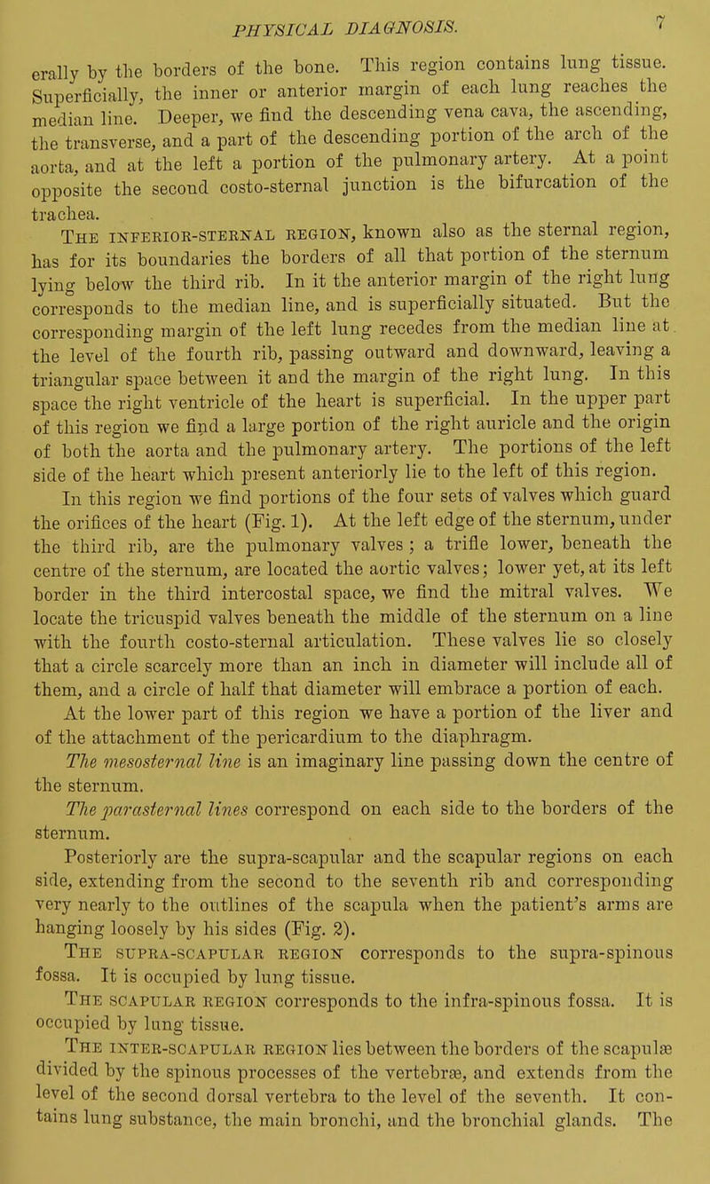 erally by the borders of the bone. This region contains lung tissue. Superficially, the inner or anterior margin of each lung reaches the median line. Deeper, we find the descending vena cava, the ascending, the transverse, and a part of the descending portion of the arch of the aorta, and at the left a portion of the pulmonary artery. At a point opposite the second costo-sternal junction is the bifurcation of the trachea. The inferiok-steenal region, known also as the sternal region, has for its boundaries the borders of all that portion of the sternum lying below the third rib. In it the anterior margin of the right lung corresponds to the median line, and is superficially situated. But the corresponding margin of the left lung recedes from the median line at the level of the fourth rib, passing outward and downward, leaving a triangular space between it and the margin of the right lung. In this space the right ventricle of the heart is superficial. In the upper part of this region we find a large portion of the right auricle and the origin of both the aorta and the pulmonary artery. The portions of the left side of the heart which present anteriorly lie to the left of this region. In this region we find portions of the four sets of valves which guard the orifices of the heart (Fig. 1). At the left edge of the sternum, under the third rib, are the pulmonary valves ; a trifle lower, beneath the centre of the sternum, are located the aortic valves; lower yet, at its left border in the third intercostal space, we find the mitral valves. We locate the tricuspid valves beneath the middle of the sternum on a line with the fourth costo-sternal articulation. These valves lie so closely that a circle scarcely more than an inch in diameter will include all of them, and a circle of half that diameter will embrace a portion of each. At the lower part of this region we have a portion of the liver and of the attachment of the pericardium to the diaphragm. The mesosternal line is an imaginary line passing down the centre of the sternum. The parasternal lines correspond on each side to the borders of the sternum. Posteriorly are the supra-scapular and the scapular regions on each side, extending from the second to the seventh rib and corresponding very nearly to the outlines of the scapula when the patient's arms are hanging loosely by his sides (Fig. 2). The supra-scapular region corresponds to the supra-spinous fossa. It is occupied by lung tissue. The scapular region corresponds to the infra-spinous fossa. It is occupied by Iting tissue. The inter-scapular region lies between the borders of the scapulae divided by the spinous processes of the vertebrae, and extends from the level of the second dorsal vertebra to the level of the seventh. It con- tains lung substance, the main bronchi, and the bronchial glands. The