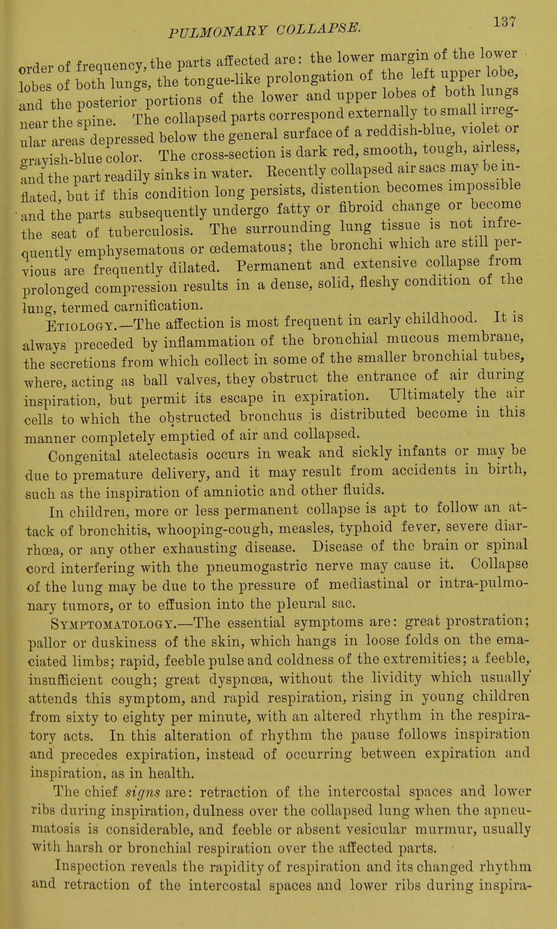 order of frequency,the parts affected are: tlae lower margin of the lower be 0 boti luBgi the tongae-like prolongation of the le upper obe .nd the posterioi portions of the lower and upper lobes of both lungs near the sptl The collapsed parts correspond externally to small n-reg- : a?^pressed below the general surface of a -ddish-blue v.olet or  ayish-blue color. The cross-section is dark red, smooth, tough, airless, Txnd the part readily sinks in water. Eecently collapsed air sacs may be in- flated, but if this condition long persists, distention becomes impossible ■ and the parts subsequently undergo fatty or fibroid change or become the seat of tuberculosis. The surrounding lung tissue is not infre- miently emphysematous or (edematous; the bronchi which are still per- vious are frequently dilated. Permanent and extensive collapse from prolonged compression results in a dense, solid, fleshy condition of the 3uug, termed carnification. Etiology.—The affection is most frequent in early childhood, it is always preceded by inflammation of the bronchial mucous membrane, the secretions from which collect in some of the smaller bronchial tubes, where, acting as ball valves, they obstruct the entrance of air during inspiration, but permit its escape in expiration. Ultimately the air cells to which the obstructed bronchus is distributed become in this manner completely emptied of air and collapsed. Congenital atelectasis occurs in weak and sickly infants or may be due to premature delivery, and it may result from accidents in birth, such as the inspiration of amniotic and other fluids. In children, more or less permanent collapse is apt to follow an at- tack of bronchitis, whooping-cough, measles, typhoid fever, severe diar- rhoea, or any other exhausting disease. Disease of the brain or spinal cord interfering with the pneumogastric nerve may cause it. Collapse of the lung may be due to the pressure of mediastinal or intra-pulmo- nary tumors, or to effusion into the pleural sac. Symptomatology.—The essential symptoms are: great prostration; pallor or duskiness of the skin, which hangs in loose folds on the ema- ciated limbs; rapid, feeble pulse and coldness of the extremities; a feeble, insufficient cough; great dyspncea, without the lividity which usually attends this symptom, and rapid respiration, rising in young children from sixty to eighty per minute, with an altered rhythm in the respira- tory acts. In this alteration of rhythm the pause follows inspiration and precedes expiration, instead of occurring between expiration and inspiration, as in health. The chief signs are: retraction of the intercostal spaces and lower ribs during inspiration, dulness over the collapsed lung when the apneu- matosis is considerable, and feeble or absent vesicular murmur, usually witii harsh or bronchial respiration over the affected parts. Inspection reveals the rapidity of respiration and its changed rhythm and retraction of the intercostal spaces and lower ribs during inspira-