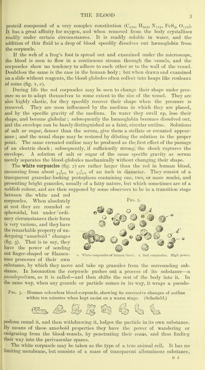 THE BLOOD proteid compound of a very complex constitution (C(,oo? Hg^^o, N,54, FeSg, O179). It has a great affinity for oxygen, and when removed from the body crystallises readily under certain circumstances. It is readily soluble in water, and the addition of this fluid to a drop of blood speedily dissolves out haemoglobin from the corpuscle. If the web of a frog's foot is spread out and examined under the microscope, the blood is seen to flow in a continuous stream through the vessels, and the corpuscles shoAv no tendency to axlhere to each other or to the wall of the vessel. Doubtless the same is the case in the human body ; but when drawn and examined on a slide without reagents, the blood-globules often collect into heaps like rouleaux of coins (fig. I, c). During life the red corpuscles may be seen to change their shape under pres- sure so as to adapt themselves to some extent to the size of the vessel. They are also highly elastic, for they speedily recover their shape when the pressure is removed. They are soon influenced by the medium in which they are placed, and by the specific gravity of the medium. In water they swell up, lose their shape, and become globular; subsequently the haemoglobin becomes dissolved out, and the envelope can be barely distinguished as a faint, circular outline. Solutions of salt or sugar, denser than the serum, give them a stellate or crenated appear- ance ; and the usual shape may be restored by diluting the solution to the proper point. The same crenated outline may be produced as the first effect of the passage of an electric shock; subsequently, if sufficiently strong, the shock ruptures the envelope. A solution of salt or sugar of the same specific gravity as serum merely separates the blood-globules mechanically without changing their shape. The white corpuscles (fig. 2) are rather larger than the red in human blood, measuring from about 2-0110 ^^Vo of ii^ch in diameter. They consist of a transparent granular-looking protoplasm containing one, two, or more nuclei, and presenting bright granules, usually of a fatty nature, but which sometimes are of a reddish colour, and are then supposed by some observers to be in a transition stage between the white and red corpuscles. When absolutely at rest they are rounded or spheroidal, but under ordi- nary circumstances their form is very various, and they have the remarkable property of un- dergoing ' amoeboid ' changes (fig. 3). That is to say, they have the power of sending out finger-shaped or filamen- AVbite corpuscles of Imman blood, d. Red corpuscles. High power. tous processes of their own substance, by which they move and take up granules from the surrounding sub- stance. In locomotion the corpuscle pushes out a process of its substance—a pseiidopodium, as it is called—and then shifts the rest of the body into it. In the same way, when any granule or particle comes in its way, it wraps a pseudo- FiG. 3.—Human colourless blood-corpuscle, showing its successive changes of outline within ten minutes when kept moist on a warm stage. (Schofield.) '3fci ^ a S !£3 6 V. podium round it, and then withdrawing it, lodges the particle in its own substance. By means of these amoeboid properties they have the powder of wandering or emigrating from the blood-vessels, by penetrating their coats, and thus finding their way into the perivascular spaces. The white corpuscle may be taken as the type of a true animal cell. It has no limiting membrane, but consists of a mass of transparent albuminous substance, B 2 ® Fig o