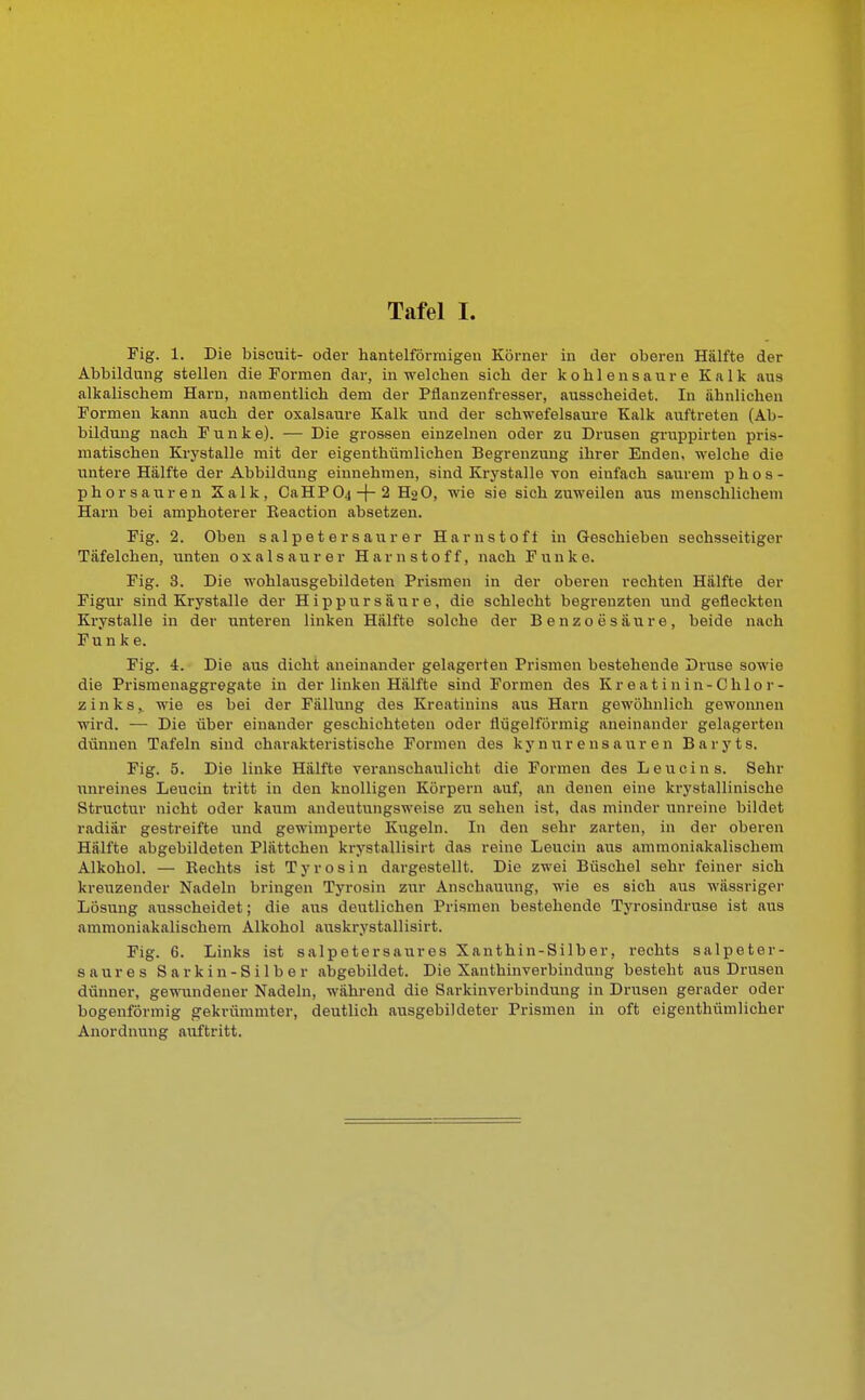 Fig. 1. Die biscuit- oder hantelförruigeu Körner in der oberen Hälfte der Abbildung stellen die Formen dar, in welchen sich der kohlensaure Kalk aus alkalischem Harn, namentlich dem der Pflanzenfresser, ausscheidet. In ähnlichen Formen kann auch der oxalsaure Kalk und der schwefelsaure Kalk auftreten (Ab- bildung nach Funke). — Die grossen einzelnen oder zu Drusen gruppirten pris- matischen Krystalle mit der eigenthümlichen Begrenzung ihrer Enden, welche die untere Hälfte der Abbildung einnehmen, sind Krystalle von einfach saurem phos- phorsauren Kalk, CaHP04~)-2 H2O, wie sie sich zuweilen aus menschlichem Harn bei amphoterer Keaction absetzen. Fig. 2. Oben salpetersaurer Harnstoff in Geschieben sechsseitiger Täfelchen, unten oxalsaurer Harnstoff, nach Funke. Fig. 8. Die wohlausgebildeten Prismen in der oberen rechten Hälfte der Figur sind Krystalle der H i p p u r s ä u r e , die schlecht begrenzten und gefleckten Krystalle in der unteren linken Hälfte solche der Benzoesäure, beide nach Funke. Fig. 4. Die aus dicht aneinander gelagerten Prismen bestehende Druse sowie die Prismenaggregate in der linken Hälfte sind Formen des Kroatinin-Chlor- zinks,. wie es bei der Fällung des Kreatinins aus Harn gewöhnlich gewonnen wird. — Die über einander geschichteten oder flügeiförmig aneinander gelagerten dünnen Tafeln sind charakteristische Formen des kynureusauren Baryts. Fig. 5. Die linke Hälfte veranschaulicht die Formen des Leucins. Sehr unreines Leucin tritt in den knolligen Körpern auf, an denen eine krystallinische Structur nicht oder kaum andeutungsweise zu sehen ist, das minder unreine bildet radiär gestreifte und gewimperte Kugeln. In den sehr zarten, in der oberen Hälfte abgebildeten Plättchen krystallisirt das reine Leucin aus ammoniakalischem Alkohol. — Rechts ist Tyrosin dargestellt. Die zwei Büschel sehr feiner sich kreuzender Nadeln bringen Tyrosin zur Anschauung, wie es sich aus wässriger Lösung ausscheidet; die aus deutlichen Prismen bestehende Tyrosindrnse ist aus ammoniakalischem Alkohol auskrystallisirt. Fig. 6. Links ist salpetersaures Xanthin-Silber, rechts Salpeter - saures Sarkin-Silber abgebildet. Die Xanthinverbindung besteht aus Drusen dünner, gewundener Nadeln, während die Sarkinverbindung in Drusen gerader oder bogenförmig gekrümmter, deutlich ausgebildeter Prismen in oft eigenthümlicher Anordnung auftritt.