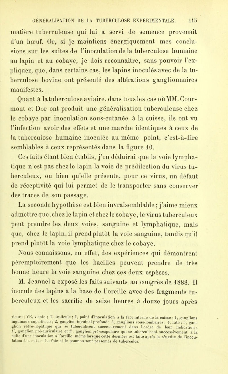 matière tuberculeuse qui lui a servi de semence provenait d'un bœuf. Or, si je maintiens énergiquement mes conclu- sions sur les suites de l'inoculation de la tuberculose humaine au lapin et au cobaye, je dois reconnaître, sans pouvoir l'ex- pliquer, que, dans certains cas, les lapins inoculés avec de la tu- berculose bovine ont présenté des altérations ganglionnaires manifestes. Quant à latuberculose aviaire, dans tous les cas où MM. Cour- mont et Dor ont produit une généralisation tuberculeuse chez le cobaye par inoculation sous-cutanée à la cuisse, ils ont vu l'infection avoir des effets et une marche identiques à ceux de la tuberculose humaine inoculée au même point, c'est-à-dire semblables à ceux représentés clans la figure 10. Ces faits étant bien établis, j'en déduirai que la voie lympha- tique n'est pas chez le lapin la voie de prédilection du virus tu- berculeux, ou bien qu'elle présente, pour ce virus, un défaut de réceptivité qui lui permet de le transporter sans conserver des traces de son passage. La seconde hypothèse est bien invraisemblable ; j'aime mieux admettre que, chez le lapin etchez le cobaye, le virus tuberculeux peut prendre les deux voies, sanguine et lymphatique, mais que, chez le lapin, il prend plutôt la voie sanguine, tandis qu'il prend plutôt la voie lymphatique chez le cobaye. Nous connaissons, en effet, des expériences qui démontrent péremptoirement que les bacilles peuvent prendre de très bonne heure la voie sanguine chez ces deux espèces. M. Jeannel a exposé les faits suivants au congrès de 1888. Il inocule des lapins à la base de l'oreille avec des fragments tu- berculeux et les sacrifie de seize heures à douze jours après rieuro ; VE, vessie ; T, testicule ; I, point d'inoculation à la face interne de la cuisse ; 1, ganglions inguinaux superficiels; 2, ganglion inguinal profond; 3, ganglions sous-lombaires ; 4, rate ; 5°gan- glion rétro-hf'^patique qui se tuberculiscnt successivement dans l'ordre de leur indication • 1', ganglion prc'-auriculaire et 2', ganglion prô-scapulairc qui se tuberculiscnt successivement à la suite dune inoculation à l'oreille, môme lorsque cette dernière est faite après la réussite de l'inocu- lation ù la cuisse. Le foie et le poumon sont parsemés de tubercules.