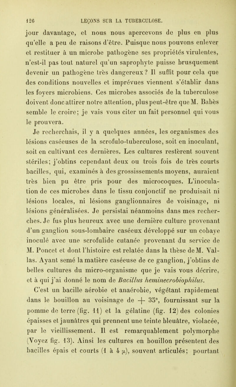 jour davantage, et nous nous apercevons de plus en plus qu'elle a peu de raisons d'être. Puisque nous pouvons enlever et restituer à un microbe pathogène ses propriétés virulentes, n'est-il pas tout naturel qu'un saprophyte puisse brusquement devenir un pathogène très dangereux? Il suffit pour cela que des conditions nouvelles et imprévues viennent s'établir dans les foyers microbiens. Ces microbes associés de la tuberculose doivent donc attirer notre attention, plus peut-être que M. Babès semble le croire; je vais vous citer un fait personnel qui vous le prouvera. Je recherchais, il y a quelques années, les organismes des lésions caséeuses de la scrofulo-tuberculose, soit en inoculant, soit en cultivant ces dernières. Les cultures restèrent souvent stériles; j'obtins cependant deux ou trois fois de très courts bacilles, qui, examinés à des grossissements moyens, auraient très bien pu être pris pour des microcoques. L'inocula- tion de ces microbes dans le tissu conjonctif ne produisait ni lésions locales, ni lésions ganglionnaires de voisinage, ni lésions généralisées. Je persistai néanmoins dans mes recher- ches. Je fus plus heureux avec une dernière culture provenant d'un ganglion sous-lombaire caséeux développé sur un cobaye inoculé avec une scrofulide cutanée provenant du service de M. Poucet et dont l'histoire est relatée dans la thèse de M. Yal- las. Ayant semé la matière caséeuse de ce ganglion, j'obtins de belles cultures du micro-organisme que je vais vous décrire, et à qui j'ai donné le nom de Bacillus heminecrohiophilus. C'est un bacille aérobie et anaérobie, végétant rapidement dans le bouillon au voisinage de -\- 35°, fournissant sur la pomme de terre (fig. 11) et la gélatine (fig. 12) des colonies épaisses et jaunâtres qui prennent une teinte bleuâtre, violacée, par le vieillissement. Il est remarquablement polymorphe (Voyez fig. 13). Ainsi les cultures en bouillon présentent des bacilles épais et courts (1 à 4 [j.), souvent articulés; pourtant