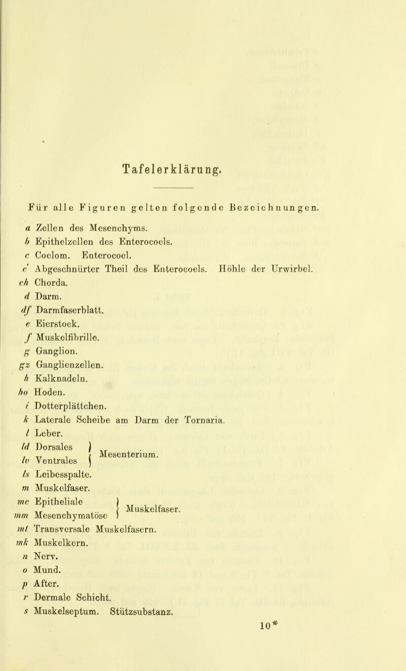 Tafelerklärung. Für alle Figuren gelten folgende Bezeichnungen. a Zellen des Mesenchyms, h Epithelzcllen des Enterocoels. c Coelom. Enterocoel. c Abgeschnürter Theil des Enterocoels. Höhle der TJrwirbel. ch Chorda. d Darm. df Darmfaserblatt. e Eierstock. / Muskelfibrille. g Ganglion. gz Ganglienzellen. h Kalknadeln. ho Hoden. i Dotterplättchen. k Laterale Scheibe am Darm der Tornaria. / Leber. Id Dorsales ) , , / Mesenterium. IV Ventrales ] Is Leibesspalte. m Muskelfaser. mc Epitheliale mm Mesenchymatöse ml Transversale Muskelfasern. mk Muskelkcrn. n Nerv. o Mund. p After. r Dermale Schicht. s Muskelseptum. Stützsubstanz. Muskelfaser.