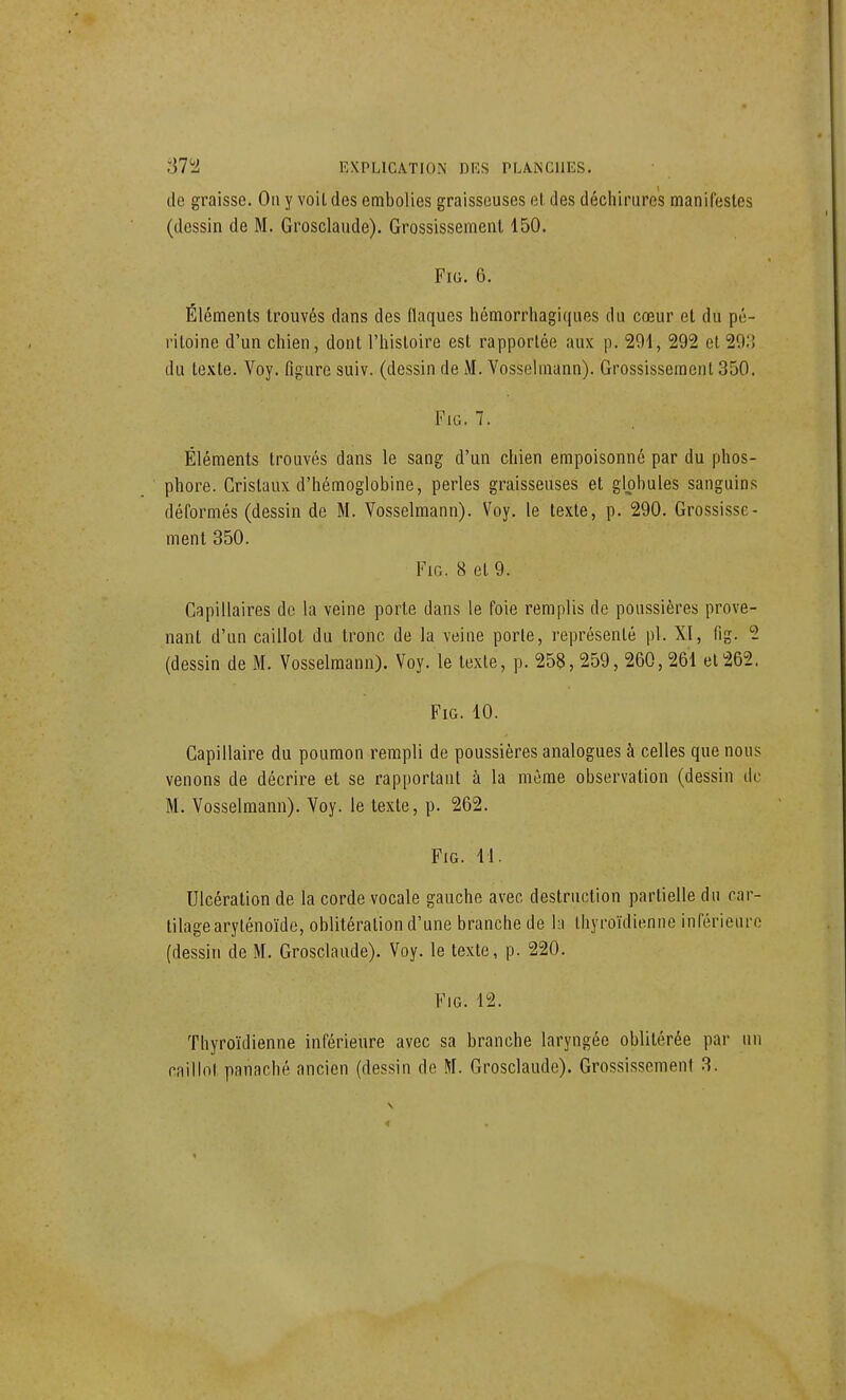 de graisse. On y voit des embolies graisseuses et des déchirures manifestes (dessin de M. Grosclaude). Grossissement 150. Fia. 6. Éléments trouvés dans des flaques hémorrhagiques du cœur et du pé- ritoine d'un chien, dont l'histoire est rapportée aux p. 291, 292 et 29.) du texte. Voy. figure suiv. (dessin de M. Vosselmann). Grossissement 350. FiG. 7. Éléments trouvés dans le sang d'un chien empoisonné par du phos- phore. Cristaux d'hémoglobine, perles graisseuses et globules sanguins déformés (dessin de M. Vosselmann). Voy. le texte, p. 290. Grossisse- ment 350. FiG. 8 et 9. Capillaires de la veine porte dans le foie remplis de poussières prove- nant d'un caillot du tronc de la veine porte, représenté pl. XI, fig. 2 (dessin de M. Vosselmann). Voy. le texte, p. 258, 259, 260, 261 et 262. Fig. 10. Capillaire du poumon rempli de poussières analogues à celles que nous venons de décrire et se rapportant à la même observation (dessin de M. Vosselmann). Voy. le texte, p. 262. Fig. 11. Ulcération de la corde vocale gauche avec destruction partielle du car- tilage arylénoïdc, oblitération d'une branche de la thyroïdienne inférieure (dessin de M. Grosclaude). Voy. le texte, p. 220. FiG. 12. Thyroïdienne inférieure avec sa branche laryngée oblitérée par un caillot panaché ancien (dessin de M. Grosclaude). Grossissement 3.