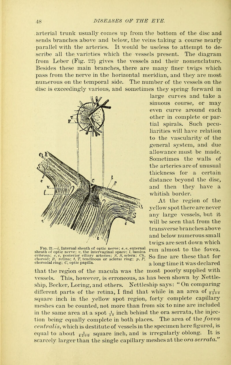 arterial trunk usually comes up from the bottom of the disc and sends branches above and below, the veins taking- a course nearly parallel with the arteries. It would be useless to attempt to de- scribe all the varieties which the vessels present. The diagram from Leber (Fig. 22) g-ives the vessels and their nomenclature. Besides these main branches, there are many finer twig's which pass from the nerve in the horizontal meridian, and they are most numerous on the temporal side. The number of the vessels on the disc is exceeding-ly various, and sometimes they spring- forward in larg-e curves and take a sinuous course, or may even curve around each other in complete or par- tial spirals. Such pecu- liarities will have relation to the vascularity of the g-eneral system, and due allowance must be made. Sometimes the walls of the arteries are of unusual thickness for a certain distance beyond the disc, and then they have a whitish border. At the region of the 3'ellow spot there are never SlWJ larg-e vessels, but it will be seen that from the transverse branches above and below numerous small twigs are sent down Avhicli run almost to the fovea. So fine are these that for a long time it was declared that the region of the macula was the most poorly supplied with vessels. This, however, is erroneous, as has been shown by Nettle- ship, Becker, Loring, and others. Ij^ettleship says:  On comparing different parts of the retina, I find that while in an area of square inch in the yellow spot region, forty complete capillary meshes can be counted, not more than from six to nine are included in the same area at a spot jV inch behind the ora serrata, the injec- tion being equally complete in both places. The area of the fovea centralis, which is destitute of vessels in the specimen here figured, is equal to about j^Vo square inch, and is irregularly oblong. It is scarcely larger than the single capillary meshes at the ora serrata. Fig. 21.—Internal sheath of optic nerve; c, c, external sheath of optic nerve; r, the intervaginal space; i, lamina cribrosa; c, c, posterior ciliary arteries; S, .9, sclera; Ch, choroid; if, retina; #, T, tendinous or scleral ring; p, P, choroidal ring; C, optic papilla.