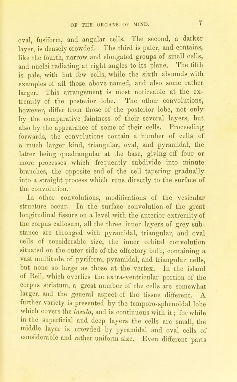 oval, fusiform, and angular cells. The second, a darker layer, is densely crowded. The third is paler, and contains, like the fourth, narrow and elongated groups of small cells, and nuclei radiating at right angles to its plane. The fifth is pale, with but few cells, while the sixth abounds with examples of all those above named, and also some rather larger. This arrangement is most noticeable at the ex- tremity of the posterior lobe. The other convolutions, however, differ from those of the posterior lobe, not only by the comparative faintness of their several layers, but also by the appearance of some of their cells. Proceeding forwards, the convolutions contain a number of cells of a much larger kind, triangular, oval, and pyramidal, the latter being quadrangular at the base, giving off four or more processes which frequently subdivide into minute branches, the opposite end of the cell tapering gradually into a straight process which runs directly to the surface of the convolution. In other convolutions, modifications of the vesicular structure occur. In the surface convolution of the great longitudinal fissure on a level with the anterior extremity of the corpus callosum, all the three inner layers of grey sub- stance are thronged with pyramidal, triangular, and oval cells of considerable size, the inner orbital convolution situated on the outer side of the olfactory bulb, containing a vast multitude of pyriform, pyramidal, and triangular cells, but none so large as those at the vertex. In the island of Reil, which overlies the extra-ventricular portion of the corpus striatum, a great number of the cells are somewhat larger, and the general aspect of the tissue different. A further variety is presented by the temporo-sphenoidal lobe which covers the insula, and is continuous with it; for while in the superficial and deep layers the cells are small, the middle layer is crowded by pyramidal and oval cells of considerable and rather uniform size. Even difi'ercnt parts