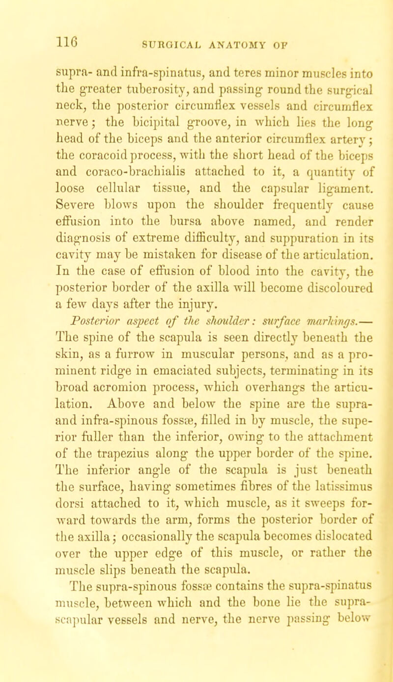supra- and infra-spinatus, and teres minor muscles into the greater tuberosity, and passing round tbe surgical neck, the posterior circumflex vessels and circumflex nerve; the bicipital groove, in which lies the long head of the biceps and the anterior circumflex artery; the coracoid process, with the short head of the biceps and coraco-brachialis attached to it, a quantity of loose cellular tissue, and the capsular ligament. Severe blows upon the shoulder frequently cause effusion into the bursa above named, and render diagnosis of extreme difliculty, and suppuration in its cavity may be mistaken for disease of the articulation. In the case of efPusion of blood into the cavity, the posterior border of the axilla will become discoloured a few days after the injury. Posterior aspect of the shoulder: surface markings.— The spine of the scapula is seen directly beneath the skin, as a furrow in muscular persons, and as a pro- minent ridge in emaciated subjects, terminating in its broad acromion process, which overhangs the articu- lation. Above and below the spine are the supra- and infra-spinous fosste, filled in by muscle, the supe- rior fuller than the inferior, owing to the attachment of the trapezius along the upper border of the spine. The inferior angle of the scapula is just beneath the surface, having sometimes fibres of the latissimus dorsi attached to it, which muscle, as it sweeps for- \vard towards the arm, forms the posterior border of the axilla; occasionally the scapula becomes dislocated over the upper edge of this muscle, or rather the muscle slips beneath the scapula. The supra-spinous foss;ie contains the supra-spinatus muscle, between which and the bone lie the supra- scapular vessels and nerve, the nerve passing below