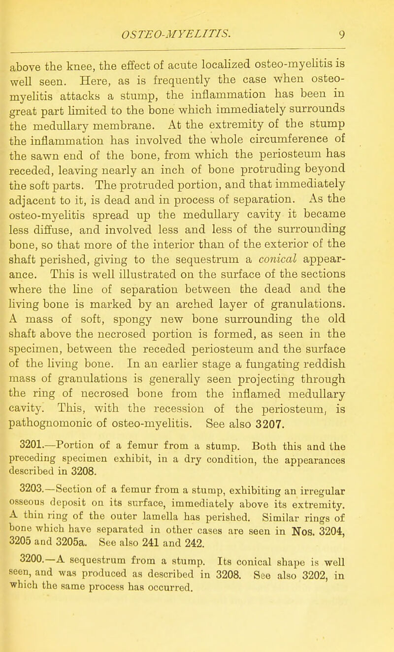 above the knee, the effect of acute localized osteo-myelitis is well seen. Here, as is frequently the case when osteo- myehtis attacks a stump, the inflammation has been in great part hmited to the bone which immediately surrounds the medullary membrane. At the extremity of the stump the inflammation has involved the whole circumference of the sawn end of the bone, from which the periosteum has receded, leaving nearly an inch of bone protruding beyond the soft parts. The protruded portion, and that immediately adjacent to it, is dead and in process of separation. As the osteo-myeUtis spread up the medullary cavity it became less diffuse, and involved less and less of the surrounding bone, so that more of the interior than of the exterior of the shaft perished, giving to the sequestrum a conical appear- ance. This is well illustrated on the surface of the sections where the hne of separation between bhe dead and the hving bone is marked by an arched layer of granulations. A mass of soft, spongy new bone surrounding the old shaft above the necrosed portion is formed, as seen in the specimen, between the receded periostemn and the surface of the living bone. In an earlier stage a fungating reddish mass of granulations is generally seen projecting through the ring of necrosed bone from the inflamed medullary cavity. This, with the recession of the periosteum, is pathognomonic of osteo-myelitis. See also 3207. 3201.^—Portion of a femur from a stump. Both this and the preceding specimen exhibit, in a dry condition, the appearances described in 3208. 3203.—Section of a femur from a stump, exhibiting an irregular osseous deposit on its surface, immediately above its extremity. A thin ring of the outer lamella has perished. Similar rings of bone which have separated in other cases are seen in Nos. 3204, 3205 and 3205a. See also 241 and 242. 3200.—A sequestrum from a stump. Its conical shape is well seen, and was produced as described in 3208, See also 3202, in which the same process has occurred.