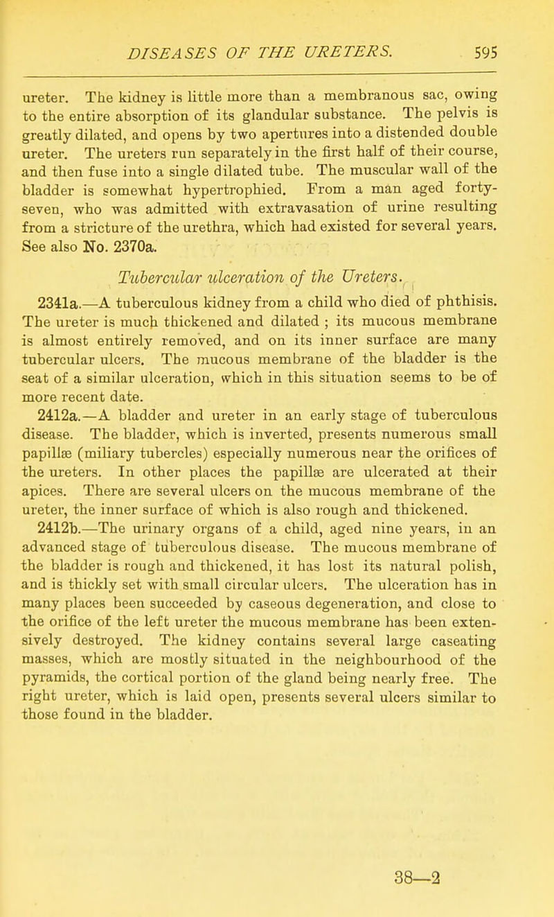 ureter. The kidney is little more than a membranous sac, owing to the entire absorption of its glandular substance. The pelvis is greatly dilated, and opens by two apertures into a distended double ureter. The ureters run separately in the first half of their course, and then fuse into a single dilated tube. The muscular wall of the bladder is somewhat hypertrophied. From a man aged forty- seven, who was admitted with extravasation of urine resulting from a stricture of the urethra, which had existed for several years. See also No. 2370a. Tuhermlar lolceration of the Ureters. 234:1a.—A tuberculous kidney from a child who died of phthisis. The ureter is much thickened and dilated ; its mucous membrane is almost entirely removed, and on its inner surface are many tubercular ulcers. The mucous membrane of the bladder is the seat of a similar ulceration, which in this situation seems to be of more recent date. 2412a.—A bladder and ureter in an early stage of tuberculous disease. The bladder, which is inverted, presents numerous small papillae (miliary tubercles) especially numerous near the orifices of the ureters. In other places the papillee are ulcerated at their apices. There are several ulcers on the mucous membrane of the ureter, the inner surface of which is also rough and thickened. 2412b.—The urinary organs of a child, aged nine years, in an advanced stage of tuberculous disease. The mucous membrane of the bladder is rough and thickened, it has lost its natural polish, and is thickly set with small circular ulcers. The ulceration has in many places been succeeded by caseous degeneration, and close to the orifice of the left ureter the mucous membrane has been exten- sively destroyed. The kidney contains several large caseating masses, which are mostly situated in the neighbourhood of the pyramids, the cortical portion of the gland being nearly free. The right ureter, which is laid open, presents several ulcers similar to those found in the bladder. 38—2