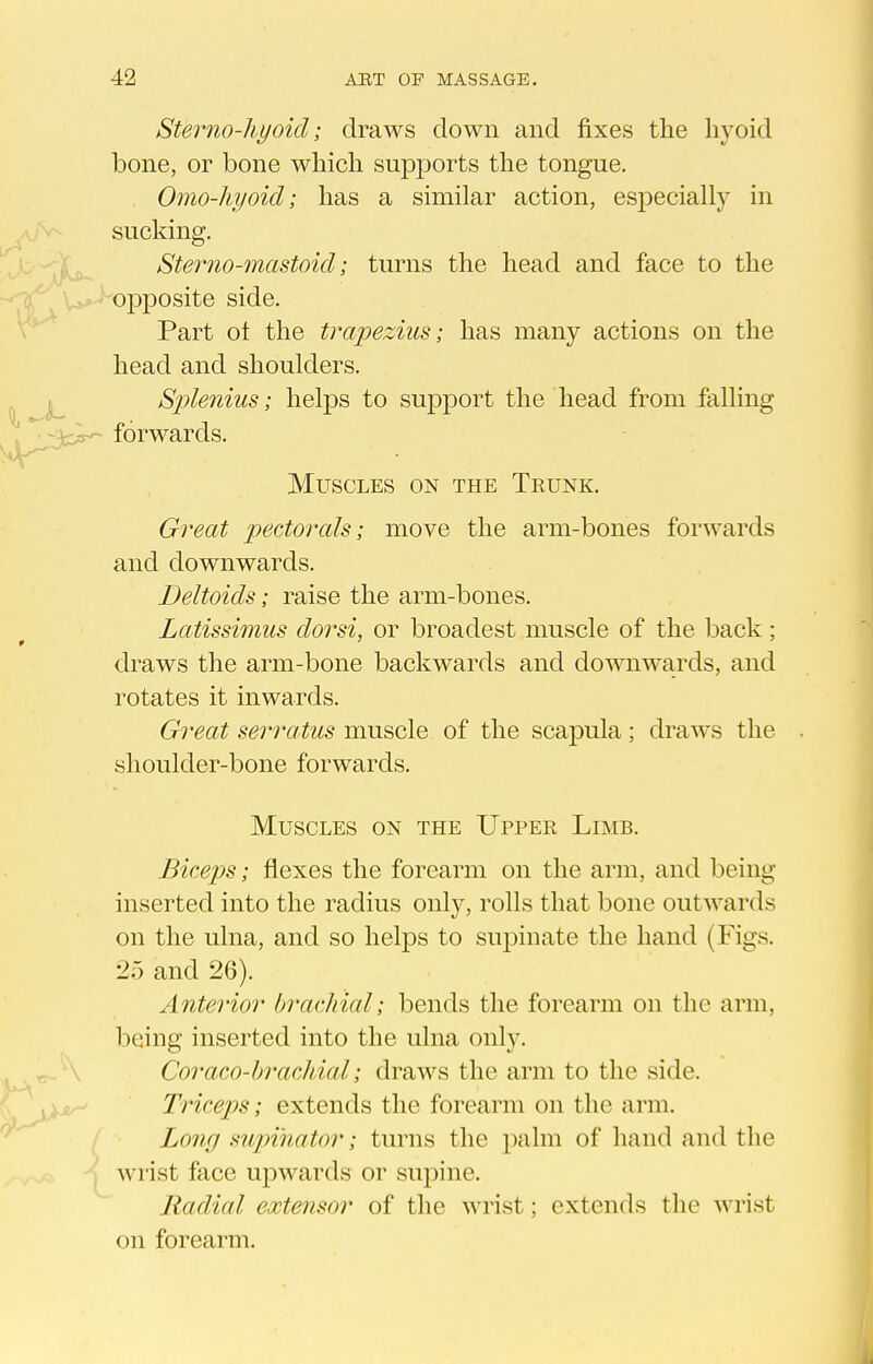 Sterno-hyoid; draws down and fixes the liyoid bone, or bone which supports the tongue. Omo-hyoid; has a similar action, especially in sucking. jb-^^ Sterno-mastoid; turns the head and face to the V»*^-oj)posite side. Part ot the trapezius; has many actions on the head and shoulders, k Sj^lenius; helps to support the head from falling ^^•;3c:^ forwards. Muscles on the Trunk. Great pectorals; move the arm-bones forwards and downwards. Deltoids; raise the arm-bones. Latissimus doi^si, or broadest muscle of the back; draws the arm-bone backwards and downwards, and rotates it inwards. Great sei'vatus muscle of the scapula; draws the shoulder-bone forwards. Muscles on the Upper Limb. Biceps; flexes the forearm on the arm, and being inserted into the radius only, rolls that bone outwards on the ulna, and so helps to suj^inate the hand (Figs. 25 and 26). Anterior brachial; bends the forearm on the arm, being inserted into the ulna only. Coraco-brachial; draws the arm to the side. Triceps; extends the forearm on the arm. ' ( Long supinator; turns the palm of hand and the ( wrist face ujDwards or supine. Radial extensor of the wrist; extends the Avrist on forearm.