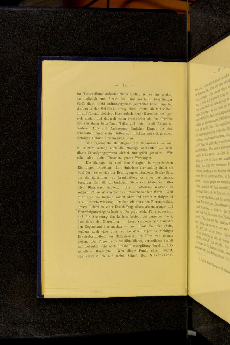 zur Verarbeitung- aufgenommener Stoffe, sei es ein solches, das lediglich und direkt der Hinauswerfung überflüssiger Stoffe dient, nicht ordnungsgemäss gearbeitet haben, um den Aufbau solcher Gebilde zu ermöglichen. Stoffe, die fort sollten, an und für sich vielleicht bloss unbedeutende Körnchen, schlugen sich nieder, und dadurch schon erschwerten sie das Getriebe des von ihnen betroffenen Teiles und boten somit Anlass zü weiterer Auf- und Anlagerung ähnlicher Dinge, die sich schliesslich immer mehr häuften und drückten und sich zu einem steinigen Gebilde zusammendrängten. Eine regelrechte Bethätigung des Organismus — und zu solcher vermag auch die Massage anzuhalten —. hätte diesen Schädigungsprözess einfach unmöglich gemacht. Wir sehen also: kleine Ursachen, grosse Wirkungen. Die Massage ist nach dem Gesagten in verschiedenen Eichtungen brauchbar. Ihre einfachste Verwendung findet sie^, wohl dort, wo es sich um Beseitigung entstandener Geschwülste,, 'um die Zerteilung von krankhaften, an einer bestimmten^ äusserem Eingriffe zugänglichen Stelle sich häufenden Säfte- oder Blutmassen handelt. Ihre unmittelbare Wirkung in solchen Eällen ist von nicht zu unterschätzendem Werte. Weit öfter noch zur Geltung kommt aber und darum wichtiger ist ihre indirekte Wirkung. Denken wir uns einen Nierenkranken, dessen Leiden in einer Erschlaffung dieses Absonderungs- und Blutreinigungsorgans besteht. Es gibt solche Fälle genugsam, und die Äusserung des Leidens besteht bei denselben darin, dass durch den Merenfilter — dieser Vergleich mag manchem den Gegenstand klar machen — nicht bloss die üblen Stoffe, sondern auch viele gute, so die dem Körper so wichtigen Eiweissbestandteile des Säftestromes, im Harn von dannen ziehen. Die Folge davon ist allmählicher, körperlicher Verfall und nebenher geht noch direkte Blutvergiftung durch zurück- gehaltene Harnstoffe. Wen dieser Punkt näher angeht, den verweise ich auf meine Schrift über Nierenkrank-