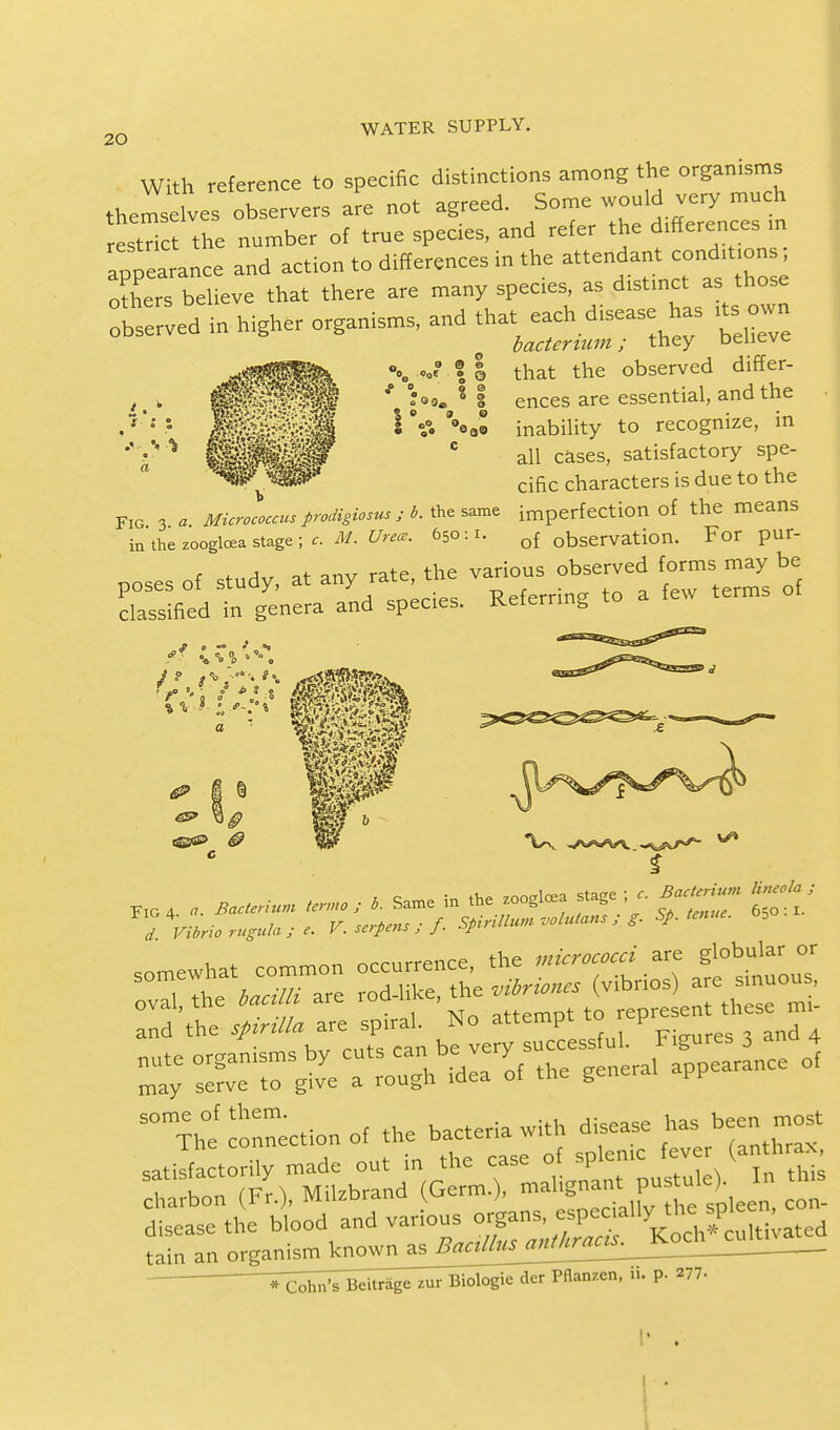 With reference to specific distinctions among the organisms themselves observers are not agreed. Some would very^much restrict the number of true species, and refer the difference, m rpoearance and action to differences in the attendant conditions others believe that there are many species, as distinct as those lerved in higher organisms, and that the observed differ- ences are essential, and the inability to recognize, in all cases, satisfactory spe- cific characters is due to the Fig 3 a Micrococcus prodigiosan; b. the same imperfection of the means in the zoogloea stage ; c M. Urea. 650 :1. q{ observation. For pur- a of nnv rate the various observed forms may be poses of study, at any rate the v ^ q[ classified in genera and species. Keterring S i _ o o a 0 e> o °ot • © So » e I °0°. °eao Vibrio ritgula; e. V.se>pens,j. r and the are spiral. No attempt to P d • -v, ^r mtfi ran be verv successful, figures $ ^ nute organisms by cuts can be ve y appearance of may serve to give a rough idea of the general PP some of them. has been most The connection of he■ ^^*f lenic fever (anthrax, It^tv^^^^^^ pustule),1 In this 5^llf blooded various ~^^5&£ tain an organisnilm^^^^ ^^i^air^Tiioto^rSTPflan^en, ... p. 277.