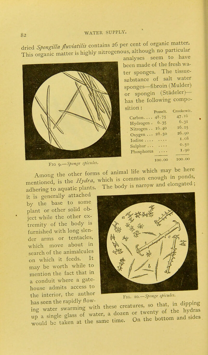 dried Spongilla fluviatilis contains 26 per cent of organic matter This organic matter is highly nitrogenous, although no particular 5 analyses seem to have been made of the fresh wa- ter sponges. The tissue- substance of salt water sponges—fibroin (Mulder) or spongin (Stadeler)— has the following compo- sition : Carbon Hydrogen . Nitrogen .. Oxygen .. • Iodine Sulphur .. . Phosphorus Posselt. 48.75 6-35 16.40 28.50 Fig 9.—Sponge spicules. 100.00 100.00 Among the other forms of animal life which may be here ♦ A t the Hvdra which is common enough in ponds, mentioned, is the Hydra w ^ d ed. adhering to aquatic plants. 1 ne Douy _ it is generally attached by the base to some plant or other solid ob- ject while the other ex- tremity of the body is furnished with long slen- der arms or tentacles, which move about in search of the animalcules on which it feeds. It may be worth while to mention the fact that in a conduit where a gate- house admits access to the interior, the author has seen the rapidly flow- dinning ing water swarming with these creatures, so tha , m d pp.ng Fig. 10.—Sponge spicules.