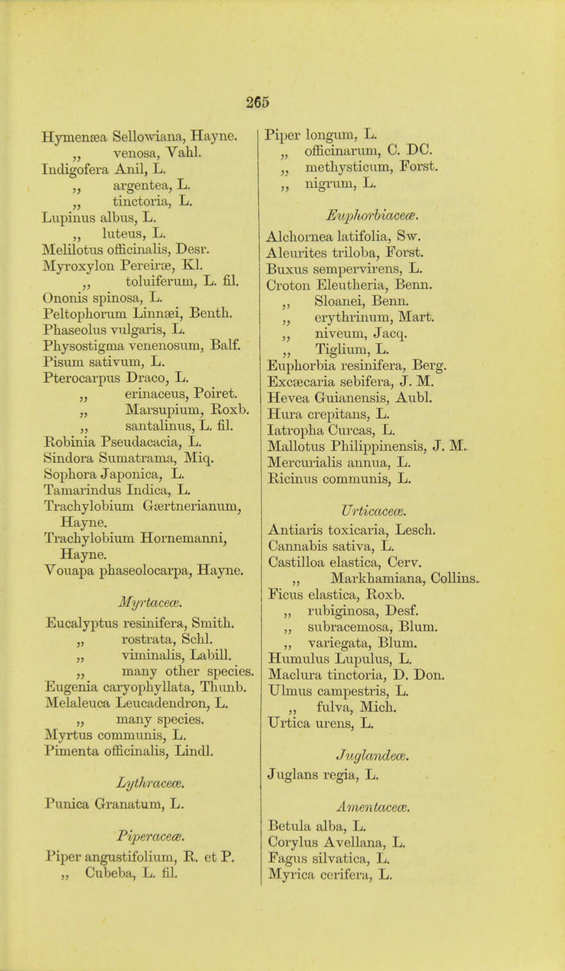 Hymensea Sellowiana, Hayne. venosa, Valil. Indigofera Anil, L. argentea, L. „ tinctoria, L. Lupinus albus, L. luteus, L. Melilotns officinalis, Desr. Myroxylon Pereii'ai, Kl. toluiferum, L. fil. Ononis spinosa, L, Peltophorum Linnsei, Benth. Pliaseolns vulgaris, L. Pliysostigma venenosum, Balf. Pisnm sativum, L. Pterocarpus Draco, L. „ erinaceus, Poiret. „ Marsupium, Roxb. „ santalinus, L. fil. Robinia Pseudacacia, L. Sindora Sumatrama, Miq. Sophora Japonica, L. Tamarindus Indica, L. Trachylobium GtBrtnerianum, Hayne. Trachylobium Hornemanni, Hayne. Vouapa phaseolocarpa, Hayne. Myrtcicece. Eucalyptus resinifera. Smith. „ rostrata, Sehl. „ viminalis, Labill. „ many other species. Eugenia caryophyllata, Thunb. Melaleuca Leucadendron, L. „ many species. Myrtus communis, L. Pimenta officinalis, Lindl. Lythraceoe. Punica Granatum, L. Piperacece. Piper angustifolium, P. et P. „ Cubeba, L. fil. Piper longum, L. „ officinarum, C. DC. ,, methysticum, Forst. ,, nigTum, L. Eu2')horhiacecB. Alchornea latifolia, Sw. Aleurites triloba, Forst. Buxus sempervirens, L. Croton Eleutheria, Benn. Sloanei, Benn. „ erythrinum. Mart. „ niveum, Jacq. „ Tiglium, L. Euphorbia resinifera, Berg. Excsecaria sebifera, J. M. Hevea Guianensis, Aubl. Hura crepitans, L. latropha Curcas, L, Mallotus Philippinensis, J. M.. Mercurialis annua, L. Ricinus communis, L. Urticacece. Antiaris toxicaria, Lesch. Cannabis sativa, L. Castilloa elastica, Cerv. „ Markhamiana, Collins.. Ficus elastica, Roxb. „ rubiginosa, Desf. „ subracemosa, Blum. „ variegata, Blum. Humulus Lupulus, L. Madura tinctoria, D. Don. Ulmus campestris, L. „ fulva, Mich. Urtica urens, L. Juglandecß. Juglans regia, L. Amentacecß. Betula alba, L. Corylus Avellana, L. Fagus silvatica, L, Myrica cerifera, L.