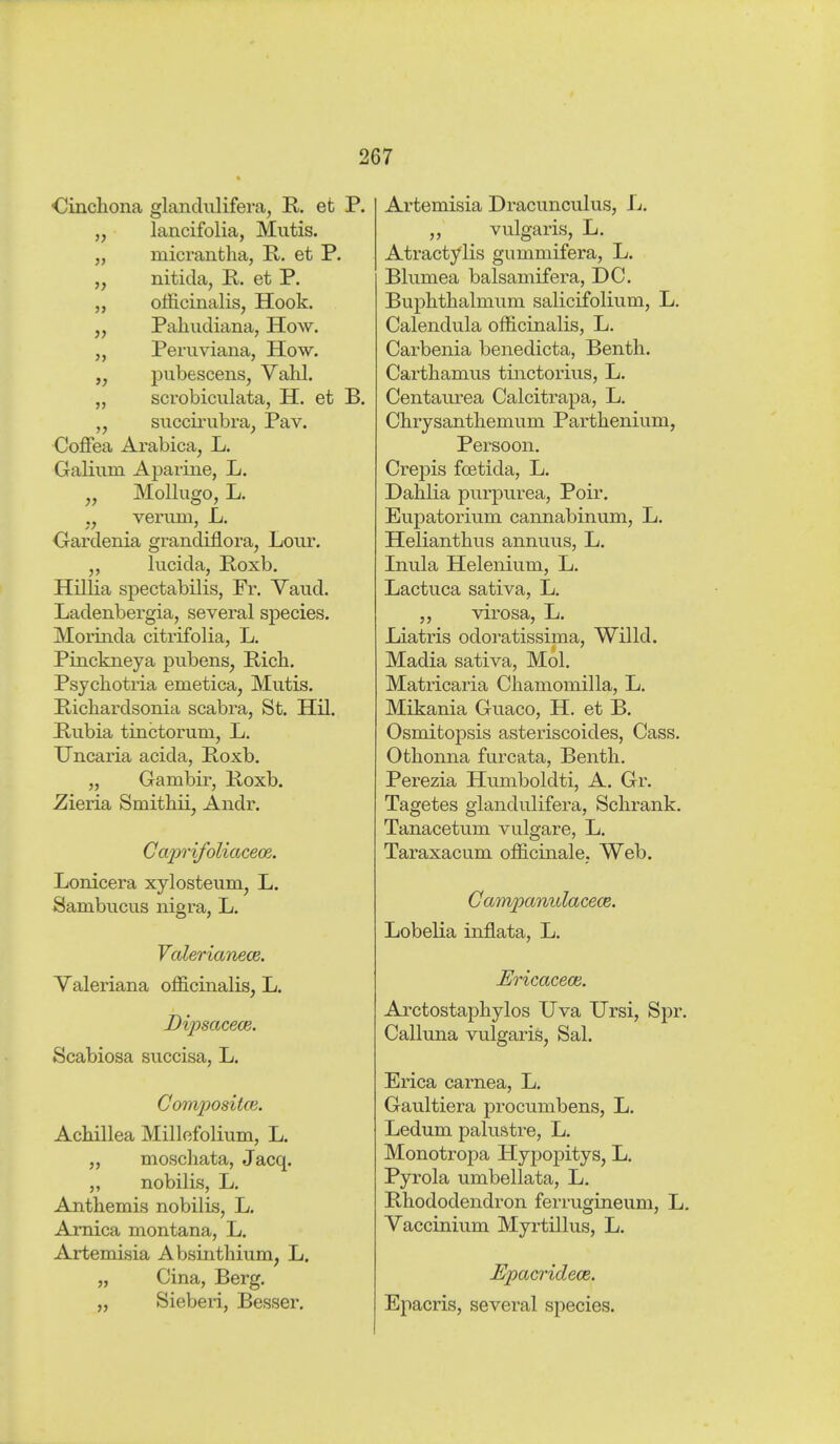 ■Cinchona glandulifera, R. et P. „ lancifolia, Mutis. „ micrantha, R. et P. nitida, R. et P. „ officinalis, Hook. „ Paliudiana, How. „ Peruviana, How. „ pubescens, Vahl. „ scrobiculata, H. et B. „ succirubra, Pav. Coffea Arabica, L. Galium Aparine, L. ^, Mollugo, L. ,, verum, L. Oardenia grandiflora. Lour. lucida, Roxb. Hillia spectabilis, Fr. Vaud. Ladenbergia, several species. Morinda citrifolia, L. Pinckneya pubens, Rich. Psychotria emetica, Mutis. Richardsonia scabra, St. Hil. Rubia tinctorum, L. Uncaria acida, Roxb. „ Gambir, Roxb. Zieria Smithü, Andr. Caprifoliacecß. Lonicera xylosteum, L. Sambucus nigra, L. Vcderianecß. Valeriana officinalis, L. DipsacecB. Scabiosa succisa, L. Composite. Achillea Millefolium, L. ,, moschata, Jacq. „ nobilis, L, Anthemis nobilis, L. Arnica montana, L, Artemisia Absinthium, L. „ Cina, Berg. „ Sieben, Besser. Artemisia Dracunculus, L. ,, vulgaris, L. Atractylis gummifera, L. Blumea balsamifera, DC. Buphthalmum salicifolium, L. Calendula officinalis, L. Carbenia benedicta, Benth. Carthamus tinctorius, L. Centaurea Calcitrapa, L. Chrysanthemum Parthenium, Persoon. Crepis foetida, L. Dahlia purpurea, Poir. Eupatorium cannabinum, L. Helianthus annuus, L. Inula Helenium, L. Lactuca sativa, L, ,, virosa, L. Liatris odoratissima, Willd. Madia sativa, Mol. Matricaria Chamomilla, L. Mikania Guaco, H. et B. Osmitopsis asteriscoides, Cass. Othonna furcata, Benth. Perezia Humboldti, A. Gr. Tagetes glandulifera, Schrank. Tanacetum vulgare, L. Taraxacum officinale, Web. Campanulacece. Lobelia inflata, L. JEricacecB. Arctostaphylos Uva Ursi, Spr. Calluna vulgaris, Sal. Erica carnea, L. Gaultiera procumbens, L. Ledum palustre, L. Monotropa Hypopitys, L. Pyrola umbellata, L. Rhododendron ferrugineum, L. Vaccinium Myrtillus, L. Epacridece. Epacris, several species.