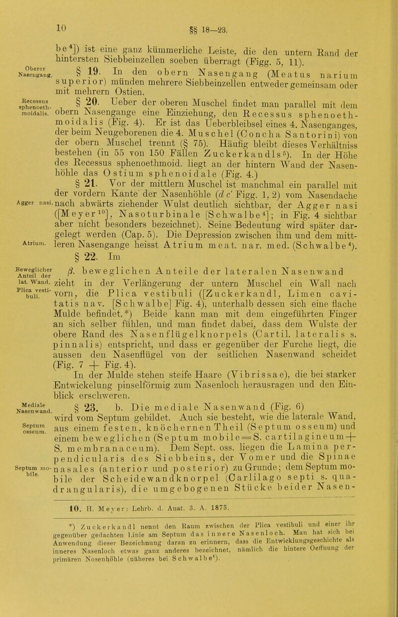 §§ 18—23. be*]) ist eine ganz kümmerliche Leiste, die den untern Rand der hintersten biebbeinzellen soeben überragt (Figg. 5, 11). Na«cugang. § 19. In den obern Nasengang (Meatus narium superior) münden mehrere Siebbeinzellen entweder gemeinsam oder mit mehrern Ostien. ÄSh- , § 20. Ueber der oberen Muschel findet man parallel mit dem moidaiis. obern Nasengange eine Einziehung, den Recessus sphenoeth- moidalis (Fig. 4). Er ist das üeberbleibsel eines 4. Nasenganges der beim Neugeborenen die 4. Muschel (ConchaSantorini) von der obern Muschel trennt (§ 75). Häufig bleibt dieses Verhältnis bestehen (in 55 von 150 Fällen Zuckerkandls5). In der Höhe des Recessus sphenoethmoid. liegt an der hintern Wand der Nasen- höhle das Ostium sphenoidale (Fig. 4.) § 21. Vor der mittlem Muschel ist manchmal ein parallel mit der vordem Kante der Nasenhöhle (d c Figg. 1, 2) vom Nasendache Agger nasi.nach abwärts ziehender Wulst deutlich sichtbar, der Agger nasi ([Meyer10], Nasoturbinale [Schwalbe4]; in Fig. 4 sichtbar aber nicht besonders bezeichnet). Seine Bedeutung wird später dar- gelegt werden (Cap. 5). Die Depression zwischen ihm und dem mitt- Atrium. leren Nasengange heisst Atrium meat. nar. med. (Schwalbe*). § 22. Im ^rfttn'deT ß. beweglichen Anteile der lateralen Nasenwand iat. wand, zieht in der Verlängerung der untern Muschel ein Wall nach Phbuilestlvorn, die Plica vestibuli ([Zuckerkandl, Limen cavi- tatisnav. [Schwalbe] Fig. 4), unterhalb dessen sich eine flache Mulde befindet.*) Beide kann man mit dem eingeführten Finger an sich selber fühlen, und man findet dabei, dass dem Wulste der obere Rand des Nasenflügelknorpels (Cartil. lateralis s. pinnalis) entspricht, und dass er gegenüber der Furche liegt, die aussen den Nasenflügel von der seitlichen Nasenwand scheidet (Fig. 7 + Fig. 4). In der Mulde stehen steife Haare (Vibrissae), die bei starker Entwickelung pinselförmig zum Nasenloch herausragen und den Ein- blick erschweren. NSand. § 23. b. Die mediale Nasenwand (Fig. 6) wird vom Septum gebildet. Auch sie besteht, wie die laterale Wand. oBseüm aus einem festen, kn öchernen Theil (Septum osseum)und einem beweglichen (Septum mobile = S. cartilagineum-4- S. membranaceum). Dem Sept. oss. liegen die Lamina per- pendicularis des Siebbeins, der Vomer und die Spinae septum mo-nagales (anterior und posterior) zu Grunde; dem Septum mo- b'le' bile der 'Scheidewandknorpel (Carlilago septi s. qua- dr angularis), die umgebogenen Stücke beider Nasen- 10. H. Meyer: Lehrt), d. Anat. 3. A. 1873. *) Zuckerkandl nennt den Raum »wischen der Plica vestibuli und einer ihr gegenüber gedachten Linie am Septum das innere Nasenloch. Man hat sich bei Anwendung dieser Bezeichnung daran zu erinnern, dass die Kntwicklungsgeschichte als inneres Nasenloch etwas ganz anderes bezeichnet, nitmlich die hintere Oellnung der primitreii Nosenhöhle (nitheres bei Schwalbe1).