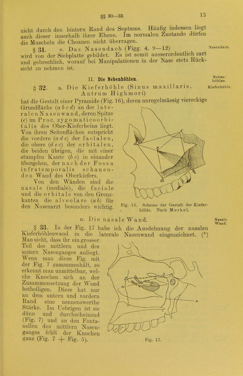 §§ 30—33. nicht durch den hintern Rand des Septums. Häufig indessen liegt auch dieser innerhalb ihrer Ebene. Im normalen Zustande dürfen die Muscheln die Choanen nicht überragen. § 31. e. Das Nasen dach (Figg. 4, 9-12) Nasendach, wird von der Siebplatte gebildet. Bs ist somit ausserordentlich zart und gebrechlich, worauf bei Manipulationen in der Nase stets Rück- sicht zu nehmen ist. II. Die Nebenhöhlen. § 32- a. Die Kieferhöhle (Sinus maxillaris, Antrum Highmori) hat die Gestalt einer Pyramide (Fig. 16),. deren unregelmässig viereckige Grundfläche [ab cd) an der 1 ate- ralenNasenwand, deren Spitze (e)imProc. zygomaticoorbi- t a 1 i s des Ober-Kieferbeins liegt. Von ihren Seitenflächen entspricht die vordere (ade) der faeialen, die obere (d e c) der orbitalen, die beiden übrigen, die mit einer stumpfen Kante (b e) in einander übergehen, der nachder Fossa infratemporalis schauen- den Wand des Oberkiefers. Von den Wänden sind die nasale (mediale), die faciale und die orbitale von den Grenz- kanten die alveolare (ab) für den Nasenarzt besonders wichtig. Neben- höhlen. Kieferhöhle. Fig. 16. Schema der Gestalt der Kiefer- höhle. Nach Merkel. a. Die nasale Wand. § 33. In der Fig. 17 habe ich die Ausdehnung der nasalen Kieferhöhlenwand in die laterale Nasenwand eingezeichnet. (*) Man sieht, dass ihr ein grosser Teil des mittlem und des untern Nasenganges anliegt. Wenn man diese Fig. mit der Fig. 7 zusammenhält, so erkennt man unmittelbar, wel- che Knochen sich an der Zusammensetzung der Wand betheiligen. Diese hat nur an dem untern und vordem Rand eine nennenswerthe Stärke. Im Uebrigen ist sie dünn und durchscheinend (Fig. 7) und an den Fonta- nellen des mittlem Nasen- ganges fehlt der Knochen ganz (Fig. 7 -f Fig. 5). Nasale Wand. Big. 17.