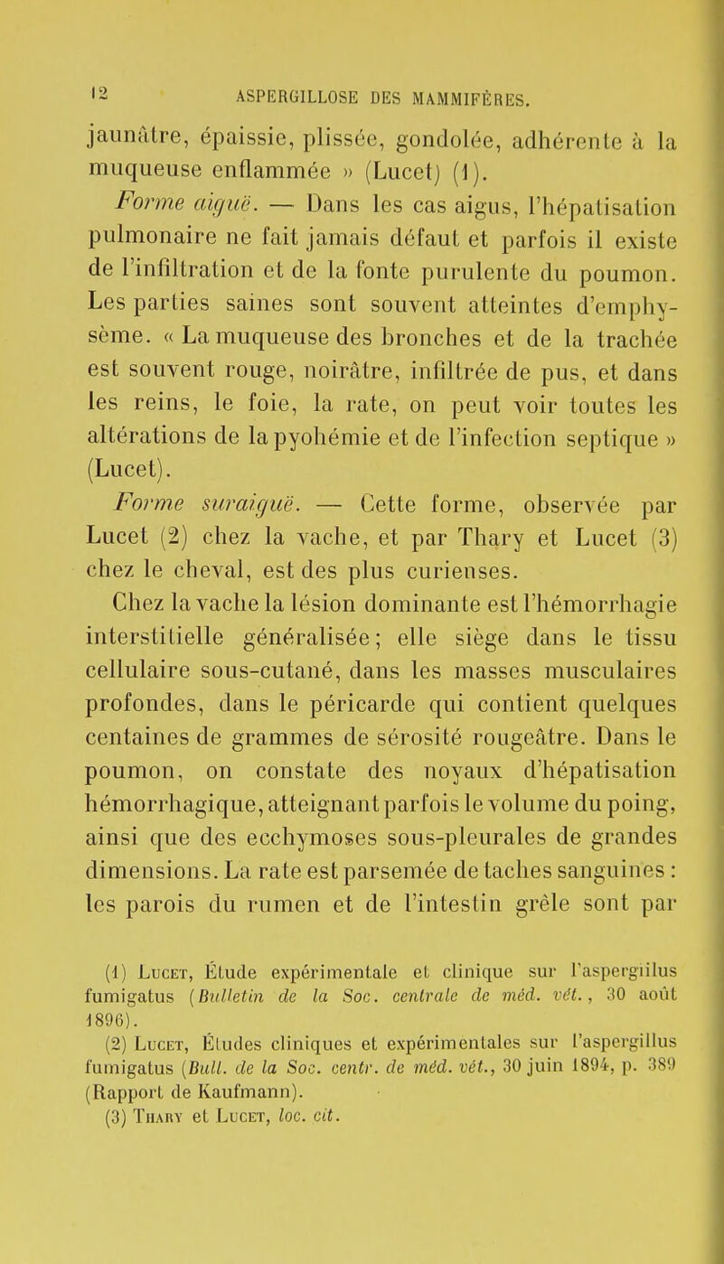 jaunâtre, épaissie, plissée, gondolée, adhérente à la muqueuse enflammée » (Lucet) (1). Forme aiguë. — Dans les cas aigus, i'hépatisation pulmonaire ne fait jamais défaut et parfois il existe de l'infiltration et de la fonte purulente du poumon. Les parties saines sont souvent atteintes d'emphy- sème. « La muqueuse des bronches et de la trachée est souvent rouge, noirâtre, infiltrée de pus, et dans les reins, le foie, la rate, on peut voir toutes les altérations de lapyohémie et de l'infection septique » (Lucet). Forme suraiguë. — Cette forme, observée par Lucet (2) chez la vache, et par Thary et Lucet (3) chez le cheval, est des plus curieuses. Chez la vache la lésion dominante est l'hémorrhagie interstitielle généralisée; elle siège dans le tissu cellulaire sous-cutané, dans les masses musculaires profondes, dans le péricarde qui contient quelques centaines de grammes de sérosité rougeâtre. Dans le poumon, on constate des noyaux d'hépatisation hémorrhagique, atteignant parfois le volume du poing, ainsi que des ecchymoses sous-pleurales de grandes dimensions. La rate est parsemée de taches sanguines : les parois du rumen et de l'intestin grêle sont par (1) Lucet, Étude expérimentale et clinique sur l'aspergiilus fumigatus (Bulletin de la Soc. centrale de méd. vêt., 30 août 1896). (2) Lucet, Éludes cliniques et expérimentales sur l'aspergiilus fumigatus (Bull, de la Soc. centr. de méd. vêt., 30 juin 1894, p. 389 (Rapport de Kaufmann).