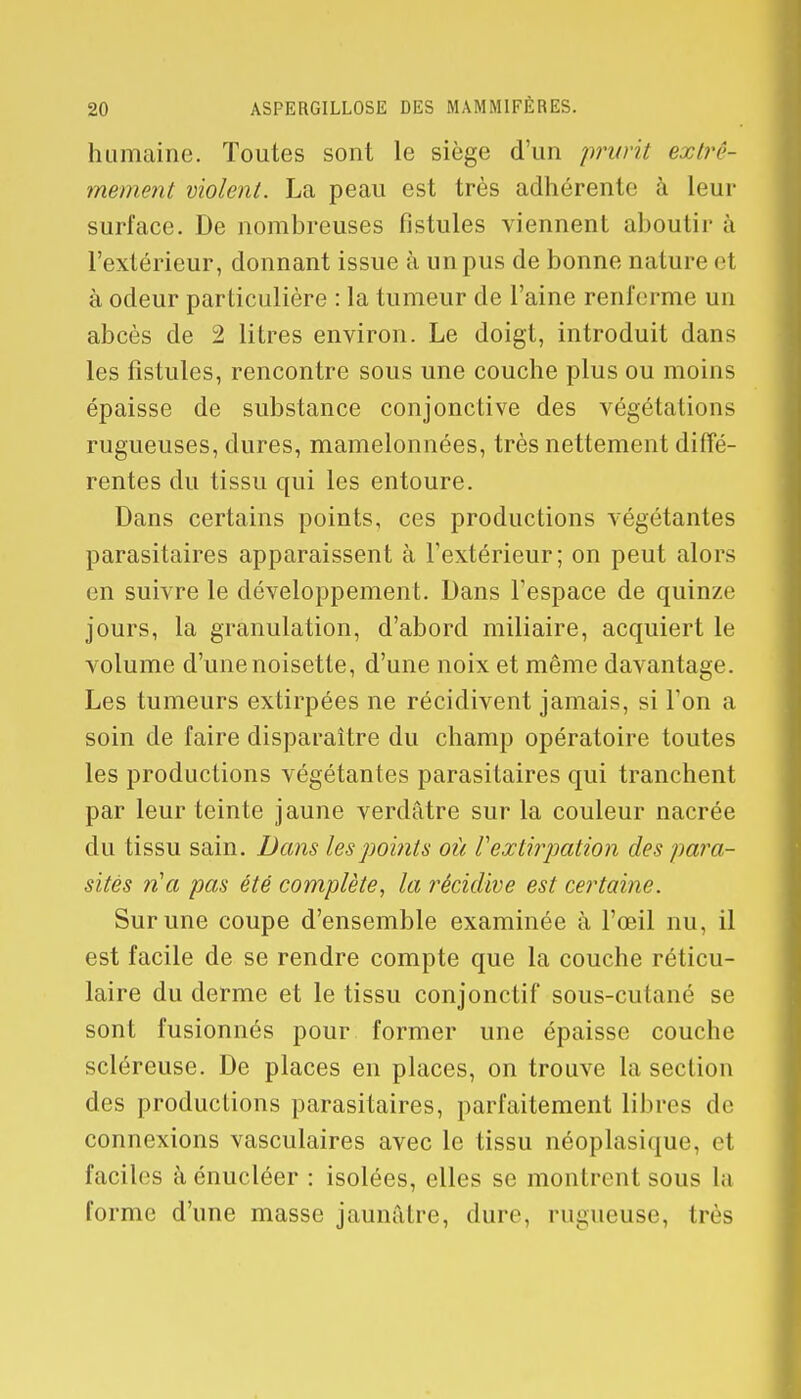 humaine. Toutes sont le siège d'un prurit extrê- mement violent. La peau est très adhérente à leur surface. De nombreuses fistules viennent aboutir à l'extérieur, donnant issue à un pus de bonne nature e1 à odeur particulière : la tumeur de l'aine renferme un abcès de 2 litres environ. Le doigt, introduit dans les fistules, rencontre sous une couche plus ou moins épaisse de substance conjonctive des végétations rugueuses, dures, mamelonnées, très nettement diffé- rentes du tissu qui les entoure. Dans certains points, ces productions végétantes parasitaires apparaissent à l'extérieur; on peut alors en suivre le développement. Dans l'espace de quinze jours, la granulation, d'abord miliaire, acquiert le volume d'une noisette, d'une noix et même davantage. Les tumeurs extirpées ne récidivent jamais, si l'on a soin de faire disparaître du champ opératoire toutes les productions végétantes parasitaires qui tranchent par leur teinte jaune verdâtre sur la couleur nacrée du tissu sain. Dans les poi?its où Vextirpation des para- sités n'a pas été complète, la récidive est certaine. Sur une coupe d'ensemble examinée à l'œil nu, il est facile de se rendre compte que la couche réticu- laire du derme et le tissu conjonctif sous-cutané se sont fusionnés pour former une épaisse couche scléreuse. De places en places, on trouve la section des productions parasitaires, parfaitement libres de connexions vasculaires avec le tissu néoplasique, et faciles à énucléer : isolées, elles se montrent sous la forme d'une masse jaunâtre, dure, rugueuse, très