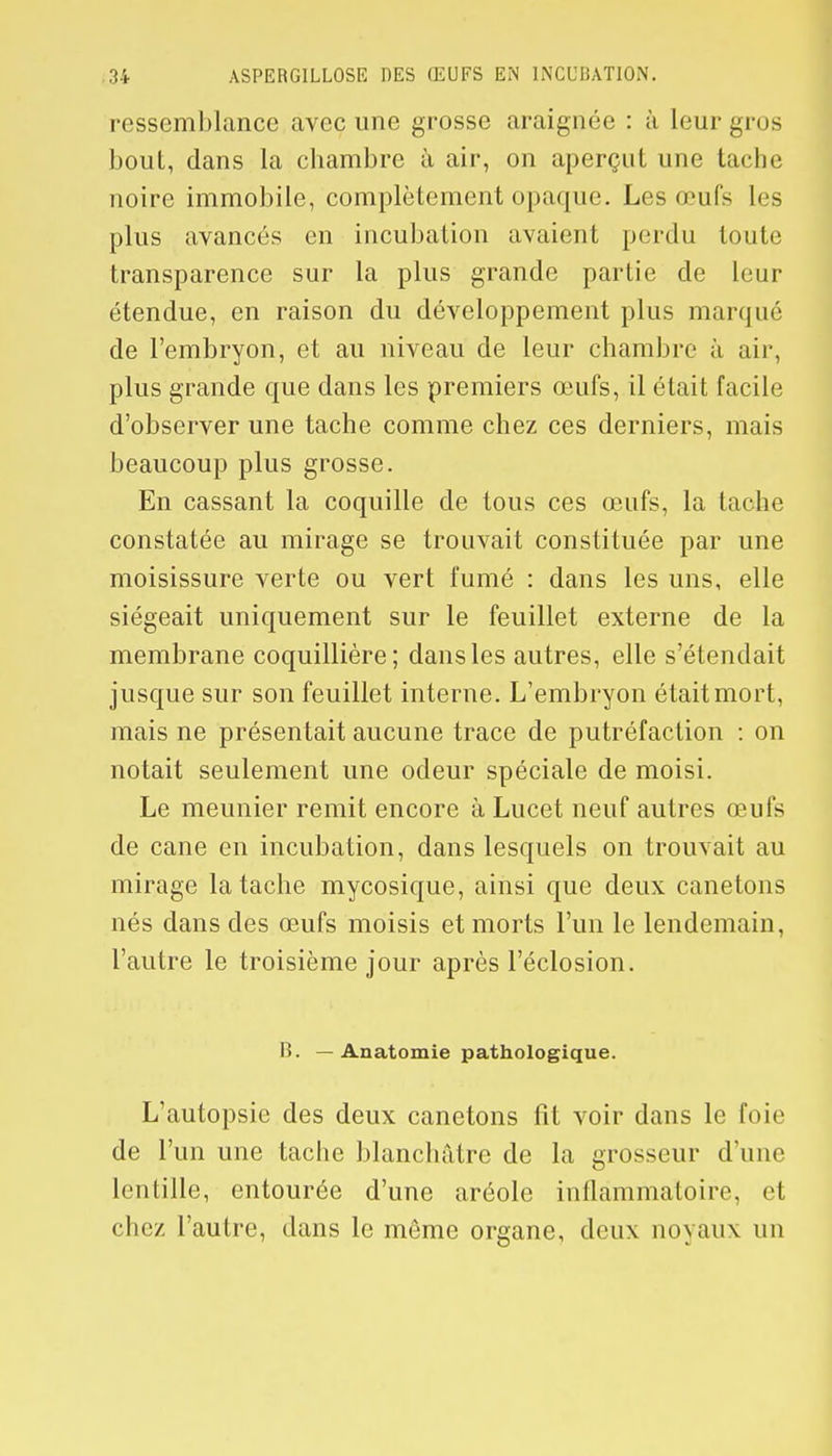 ressemblance avec une grosse araignée : à leur gros bout, dans la chambre à air, on aperçut une tache noire immobile, complètement opaque. Les œufs les plus avancés en incubation avaient perdu toute transparence sur la plus grande partie de leur étendue, en raison du développement plus marqué de l'embryon, et au niveau de leur chambre à air, plus grande que dans les premiers œufs, il était facile d'observer une tache comme chez ces derniers, mais beaucoup plus grosse. En cassant la coquille de tous ces œufs, la tache constatée au mirage se trouvait constituée par une moisissure verte ou vert fumé : dans les uns, elle siégeait uniquement sur le feuillet externe de la membrane coquillière; dans les autres, elle s'étendait jusque sur son feuillet interne. L'embryon était mort, mais ne présentait aucune trace de putréfaction : on notait seulement une odeur spéciale de moisi. Le meunier remit encore à Lucet neuf autres œufs de cane en incubation, dans lesquels on trouvait au mirage la tache mycosique, ainsi que deux canetons nés dans des œufs moisis et morts l'un le lendemain, l'autre le troisième jour après l'éclosion. B. — Anatomie pathologique. L'autopsie des deux canetons fit voir dans le foie de l'un une tache blanchâtre de la grosseur d'une lentille, entourée d'une aréole inflammatoire, et chez l'autre, dans le môme organe, deux noyaux un