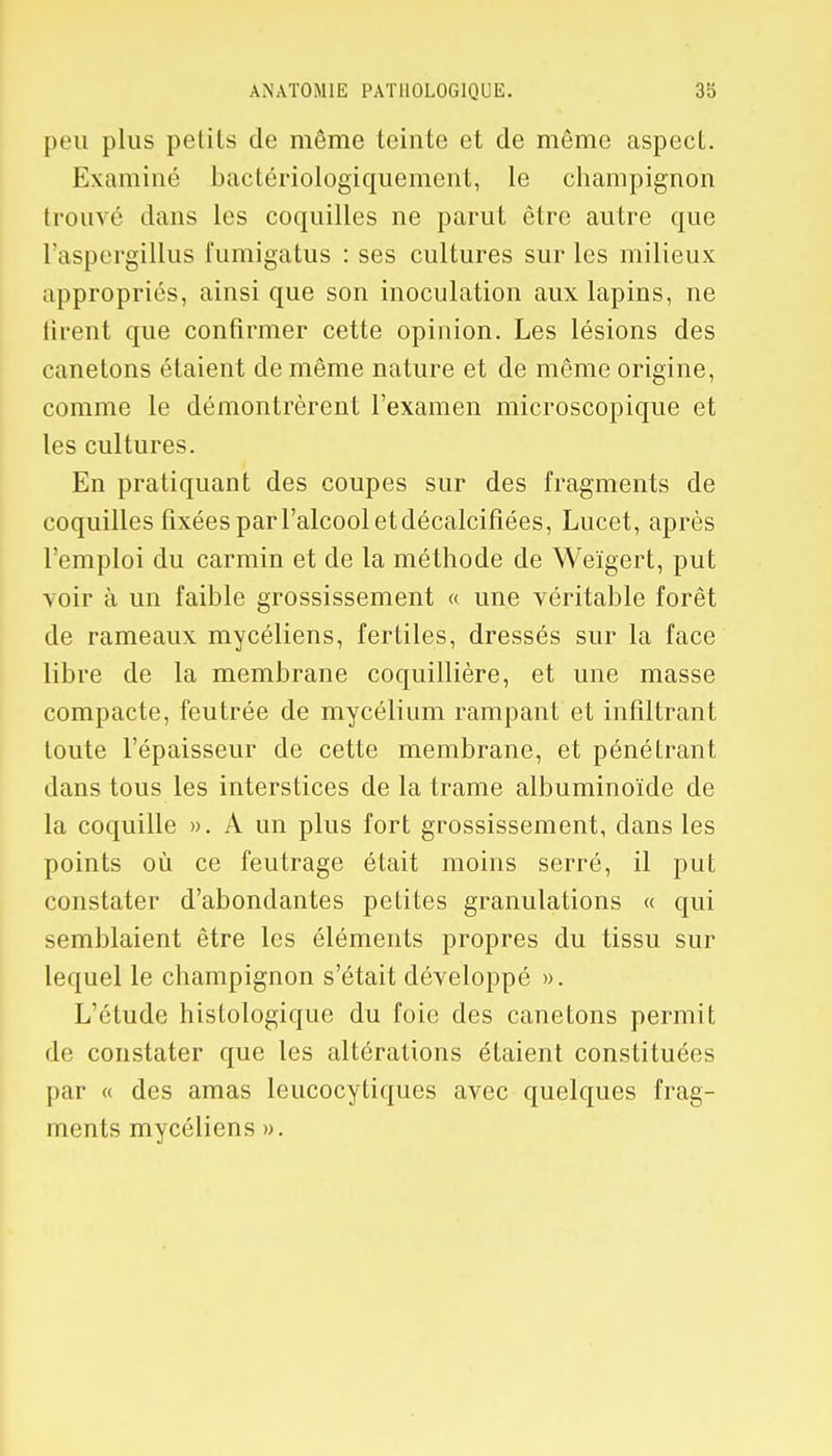 ANATOMIE PATHOLOGIQUE. 3b peu plus petits de même teinte et de même aspect. Examiné bactériologiquement, le champignon trouvé dans les coquilles ne parut être autre que l'aspergillus fumigatus : ses cultures sur les milieux appropriés, ainsi que son inoculation aux lapins, ne tirent que confirmer cette opinion. Les lésions des canetons étaient de même nature et de même origine, comme le démontrèrent l'examen microscopique et les cultures. En pratiquant des coupes sur des fragments de coquilles fixées par l'alcool et décalcifiées, Lucet, après l'emploi du carmin et de la méthode de Weïgert, put voir à un faible grossissement « une véritable forêt de rameaux mycéliens, fertiles, dressés sur la face libre de la membrane coquillière, et une masse compacte, feutrée de mycélium rampant et infiltrant toute l'épaisseur de cette membrane, et pénétrant dans tous les interstices de la trame albuminoïde de la coquille ». A un plus fort grossissement, dans les points où ce feutrage était moins serré, il put constater d'abondantes petites granulations « qui semblaient être les éléments propres du tissu sur lequel le champignon s'était développé ». L'étude histologique du foie des canetons permit de constater que les altérations étaient constituées par « des amas leucocytiques avec quelques frag- ments mycéliens ».