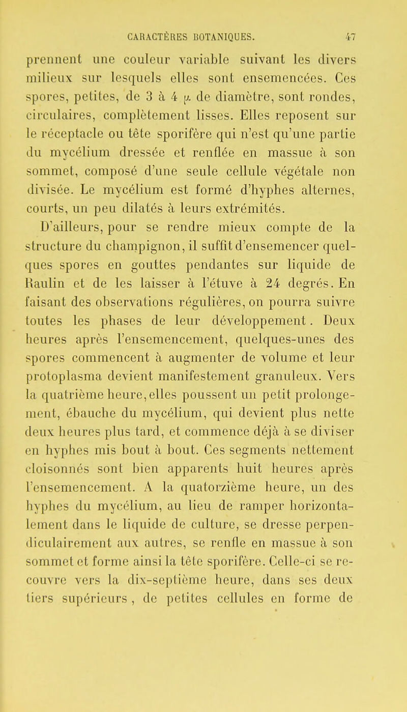 prennent une couleur variable suivant les divers milieux sur lesquels elles sont ensemencées. Ces spores, petites, de 3 à 4 (/. de diamètre, sont rondes, circulaires, complètement lisses. Elles reposent sur le réceptacle ou tête sporifère qui n'est qu'une partie du mycélium dressée et renflée en massue à son sommet, composé d'une seule cellule végétale non divisée. Le mycélium est formé d'hyphes alternes, courts, un peu dilatés à leurs extrémités. D'ailleurs, pour se rendre mieux compte de la structure du champignon, il suffit d'ensemencer quel- ques spores en gouttes pendantes sur liquide de Haulin et de les laisser à l'étuve à 24 degrés. En faisant des observations régulières, on pourra suivre toutes les phases de leur développement. Deux heures après l'ensemencement, quelques-unes des spores commencent à augmenter de volume et leur protoplasma devient manifestement granuleux. Vers la quatrième heure, elles poussent un petit prolonge- ment, ébauche du mycélium, qui devient plus ne lie deux heures plus tard, et commence déjà à se diviser en hyphes mis bout à bout. Ces segments nettement cloisonnés sont bien apparents huit heures après l'ensemencement. A la quatorzième heure, un des hyphes du mycélium, au lieu de ramper horizonta- lement dans le liquide de culture, se dresse perpen- diculairement aux autres, se renfle en massue à son sommet et forme ainsi la tête sporifère. Celle-ci se re- couvre vers la dix-septième heure, dans ses deux liers supérieurs , de petites cellules en forme de